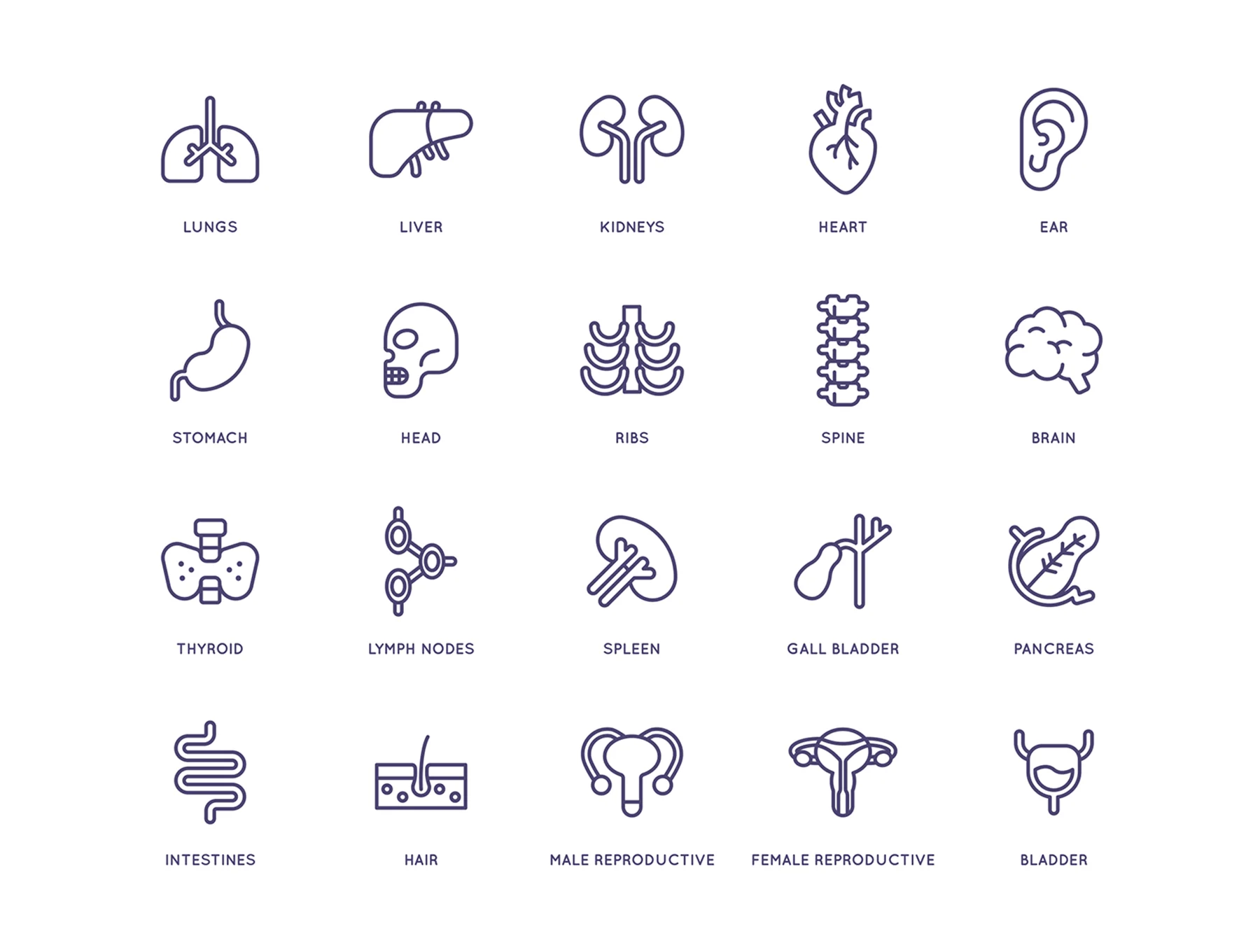 105 Medical and Healthcare Icons | Line Series 5