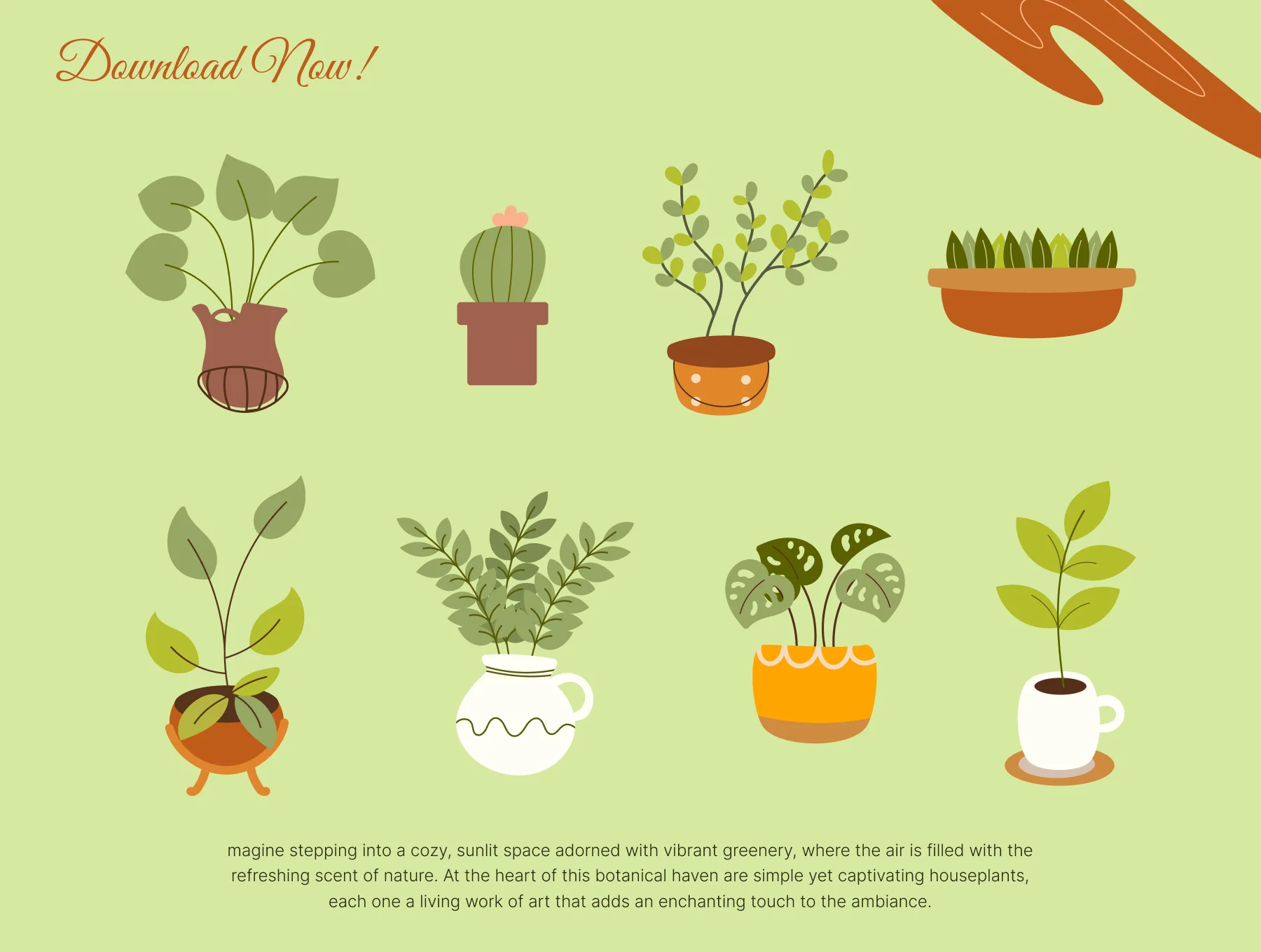 15 Simple Houseplant Element Illustrations 6