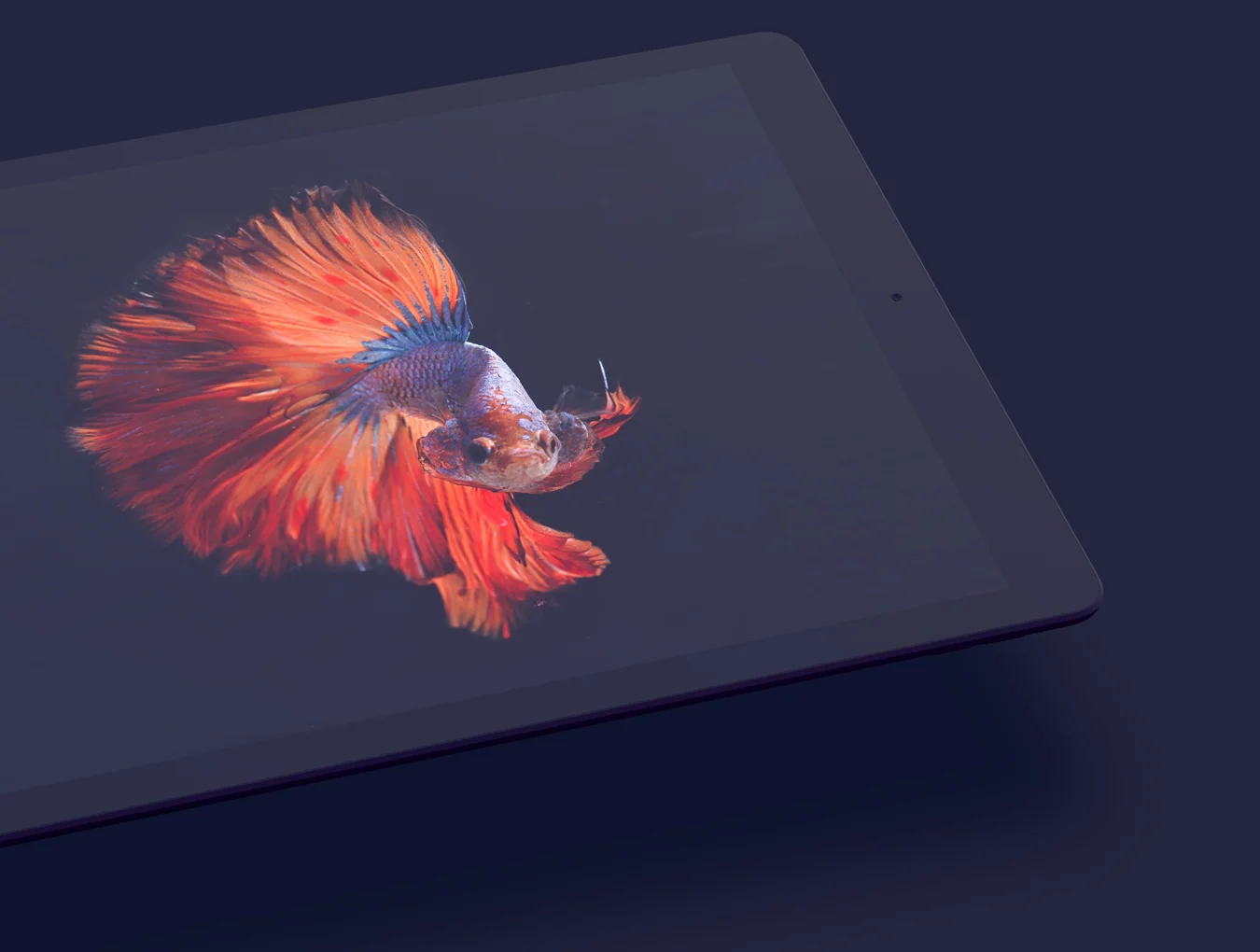 20 iPad Pro Clay Mockups + 50% off 2