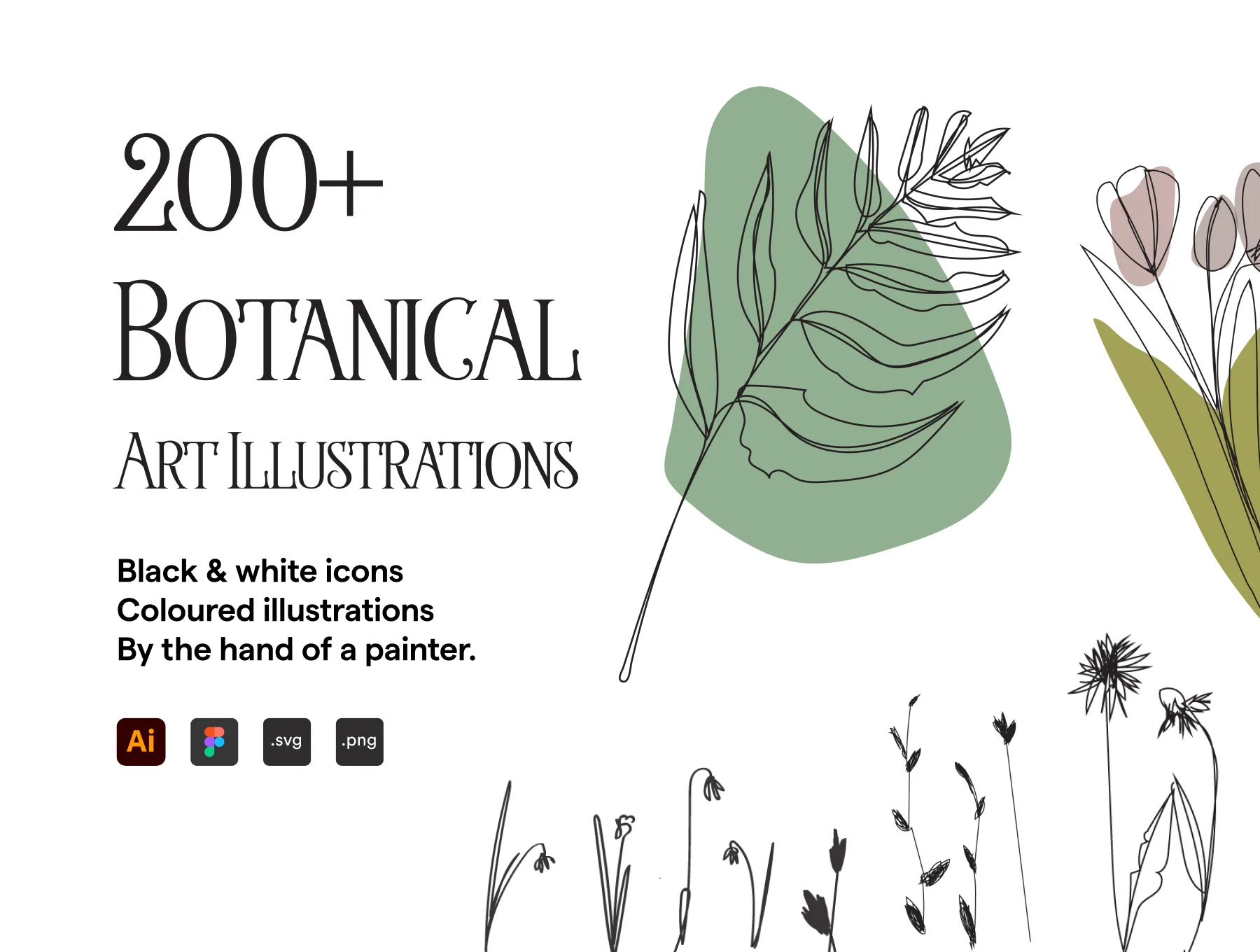 200 Botanical Art Illustration Set