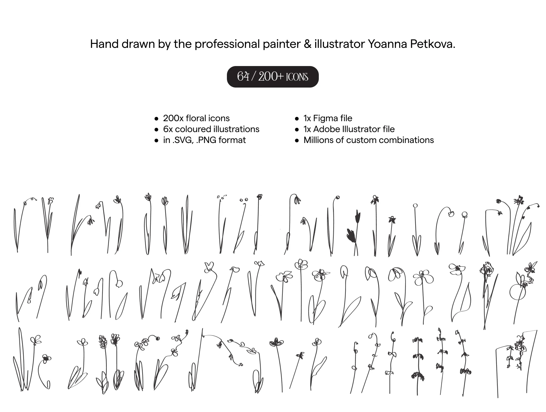 200 Botanical Art Illustration Set 2