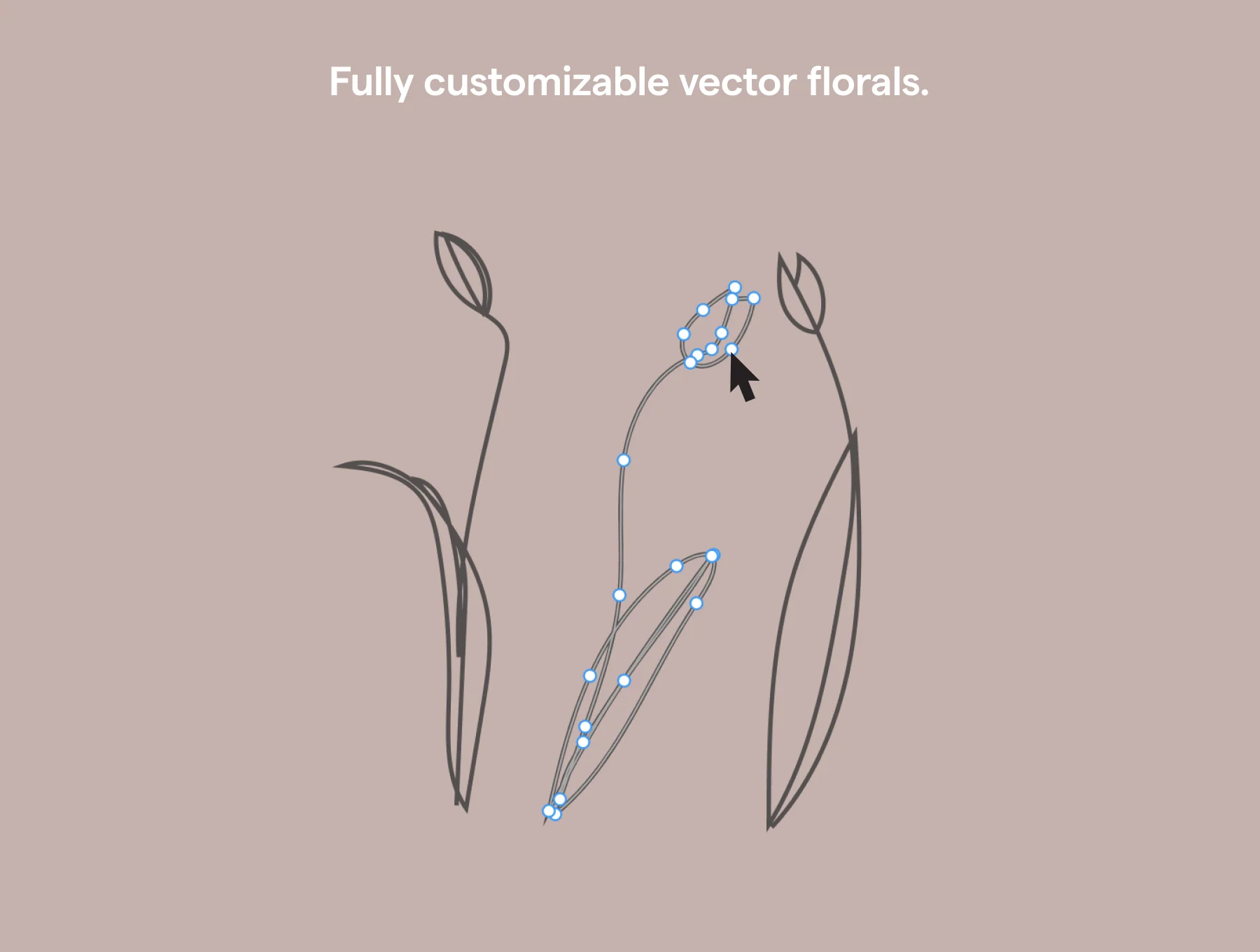 200 Botanical Art Illustration Set 6