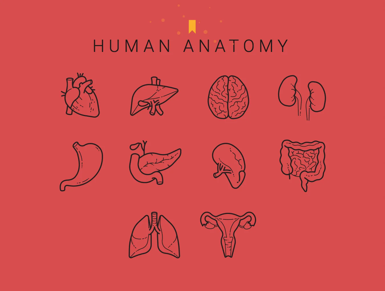 30 Specific Icons 2