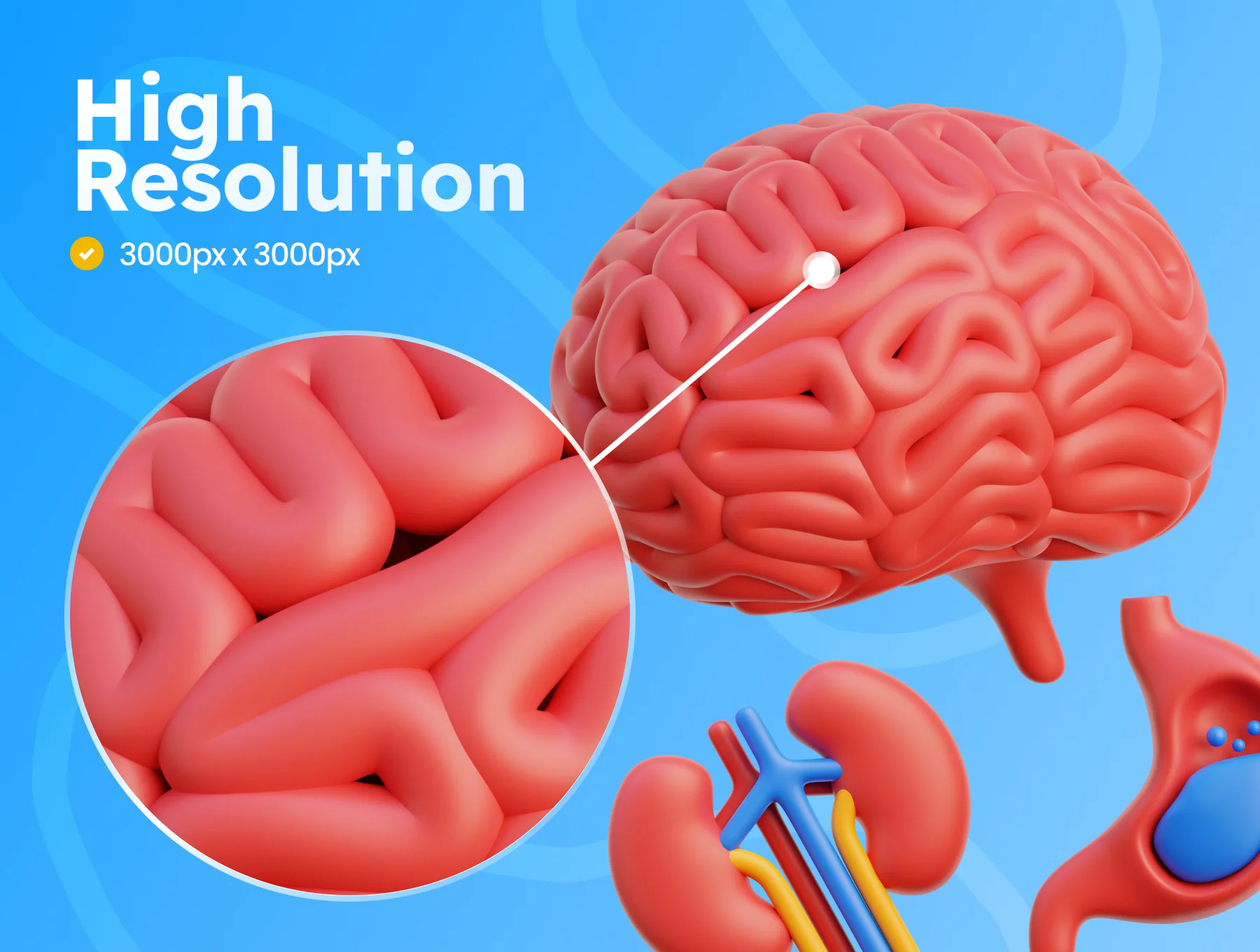 3D Healthcare and Medical Illustrations 3