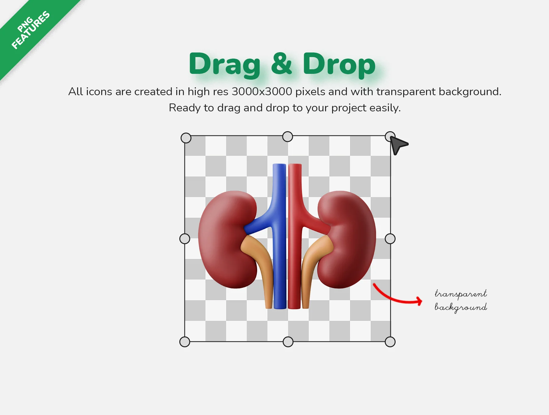 3D Icon Illustration Set - Medical Vol. 03 - Diseases, Medicines And Organs 6