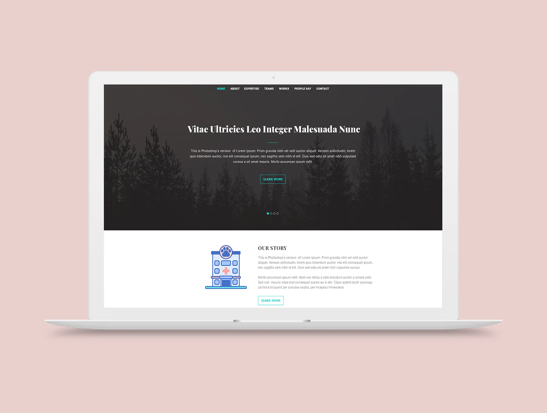 65 Veterinary Icons | Indigo Series 6
