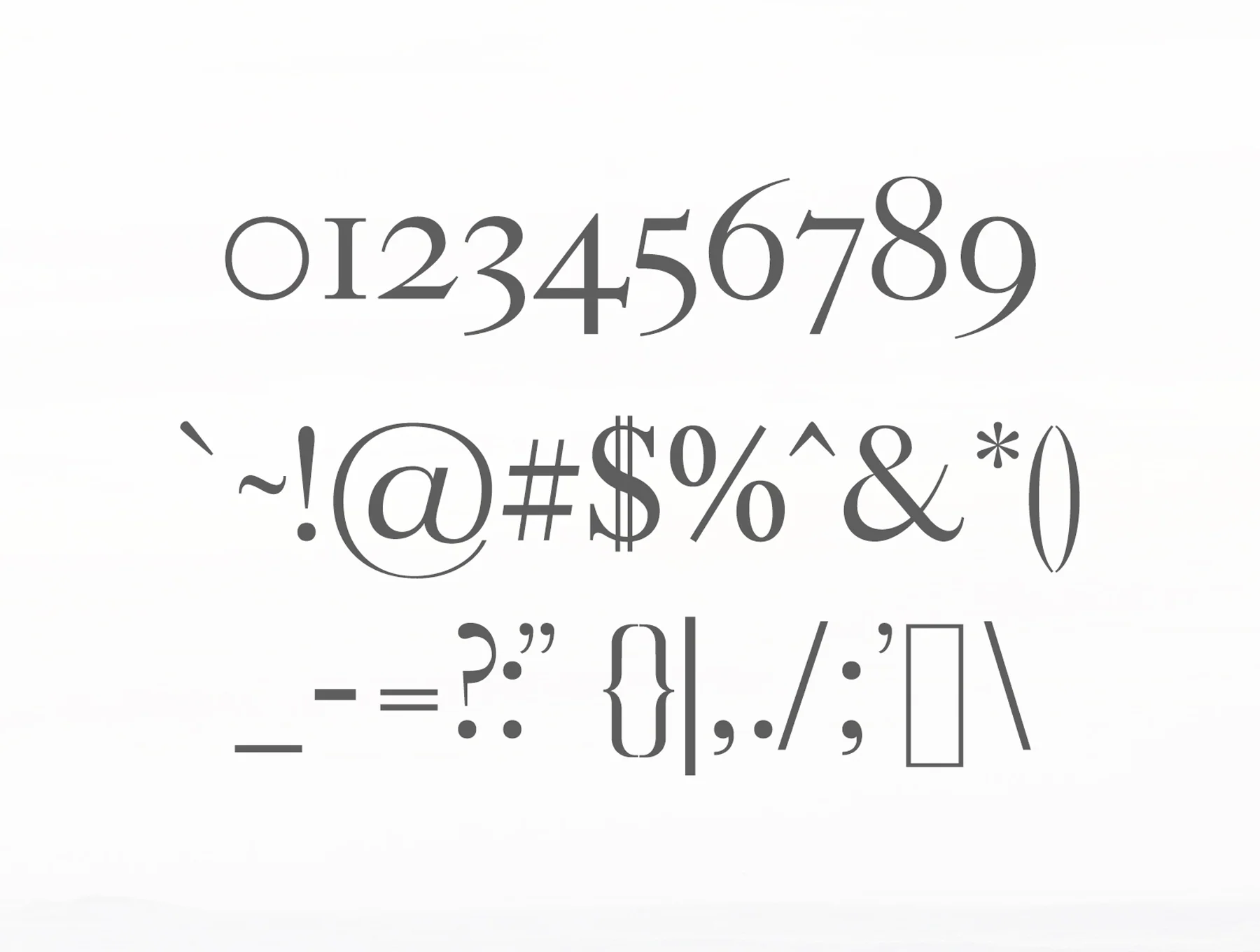 Adallyn Serif Font Family 3
