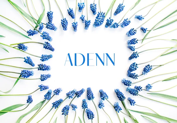 Adenn Sans Serif Typeface