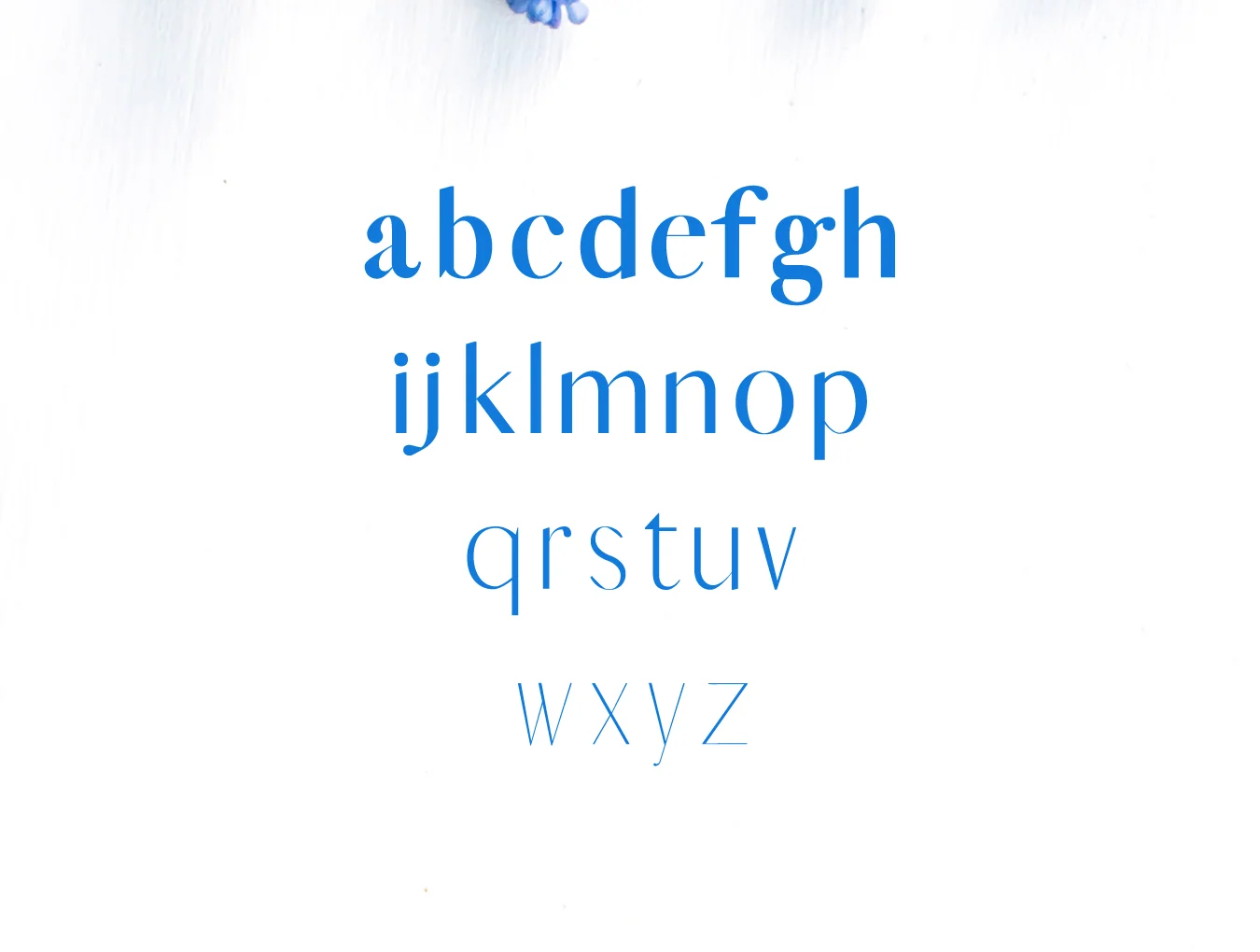 Adenn Sans Serif Typeface 3