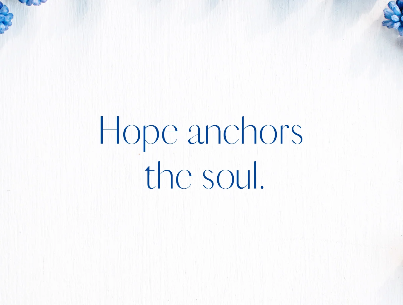 Adenn Sans Serif Typeface 5