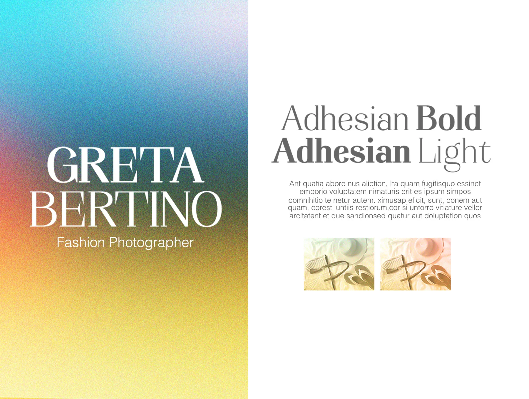 Adhesian 2