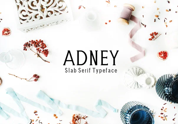 Adney Slab Serif Typeface
