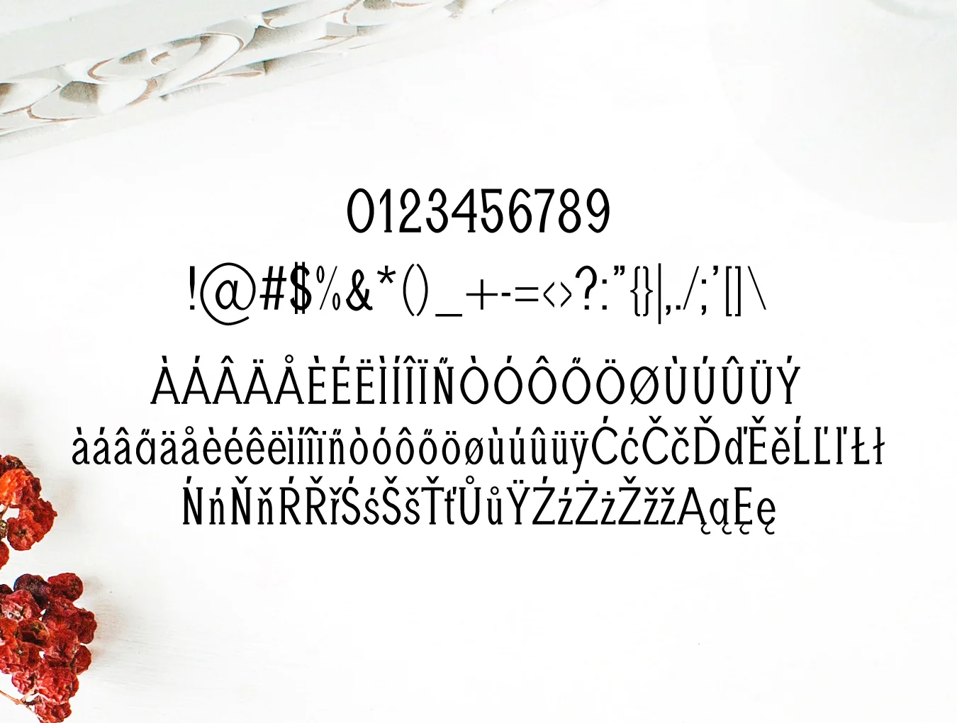Adney Slab Serif Typeface 4
