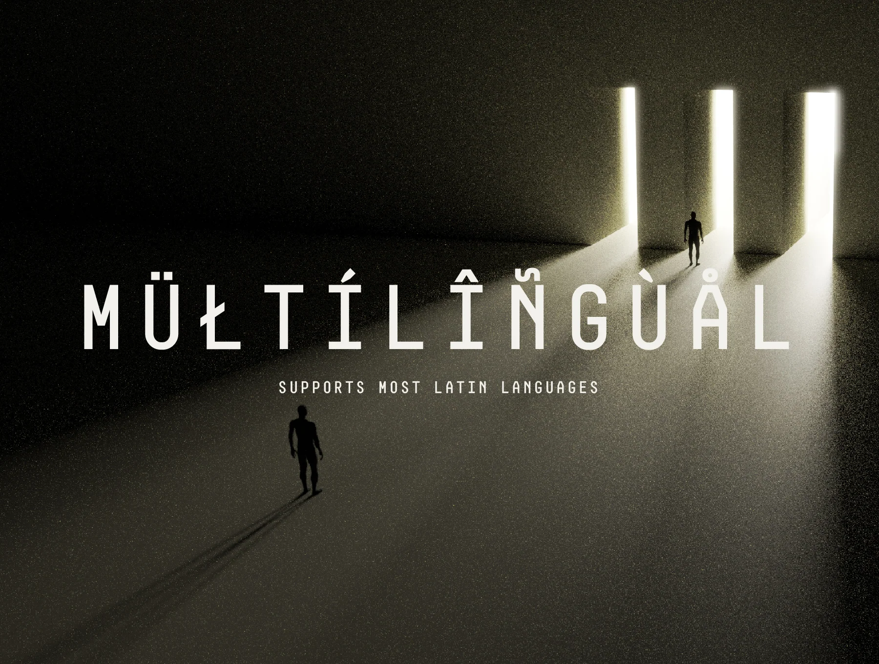 Aeion Mono Spaced Variable Font Family 3