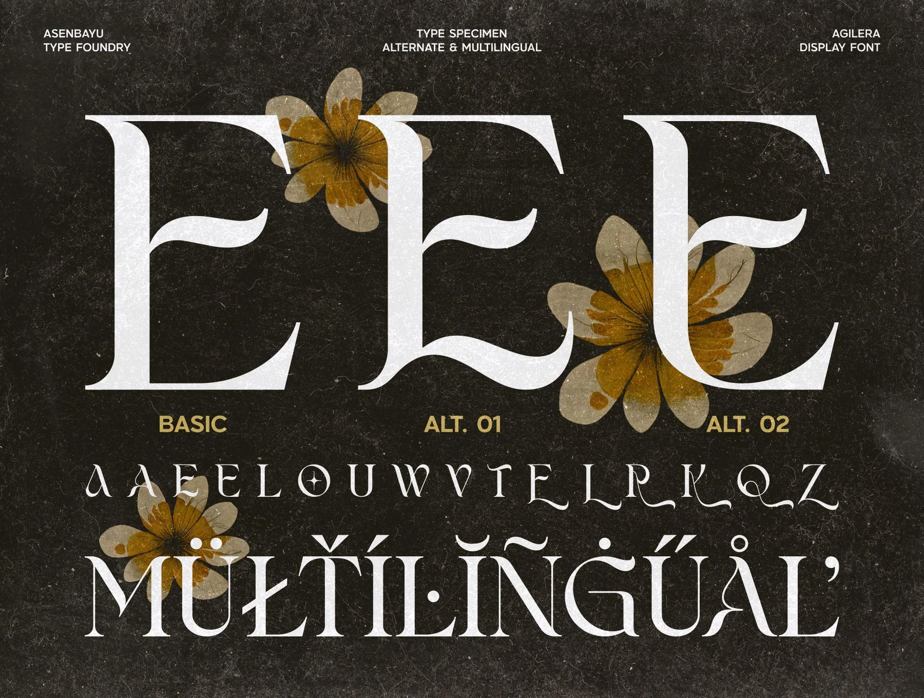 Agilera Font 7