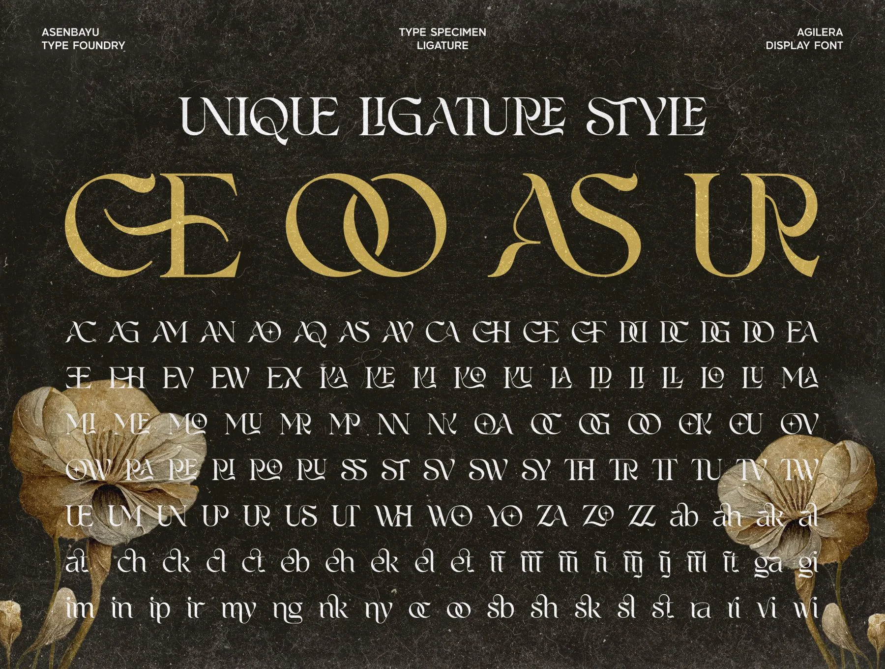 Agilera Font 8