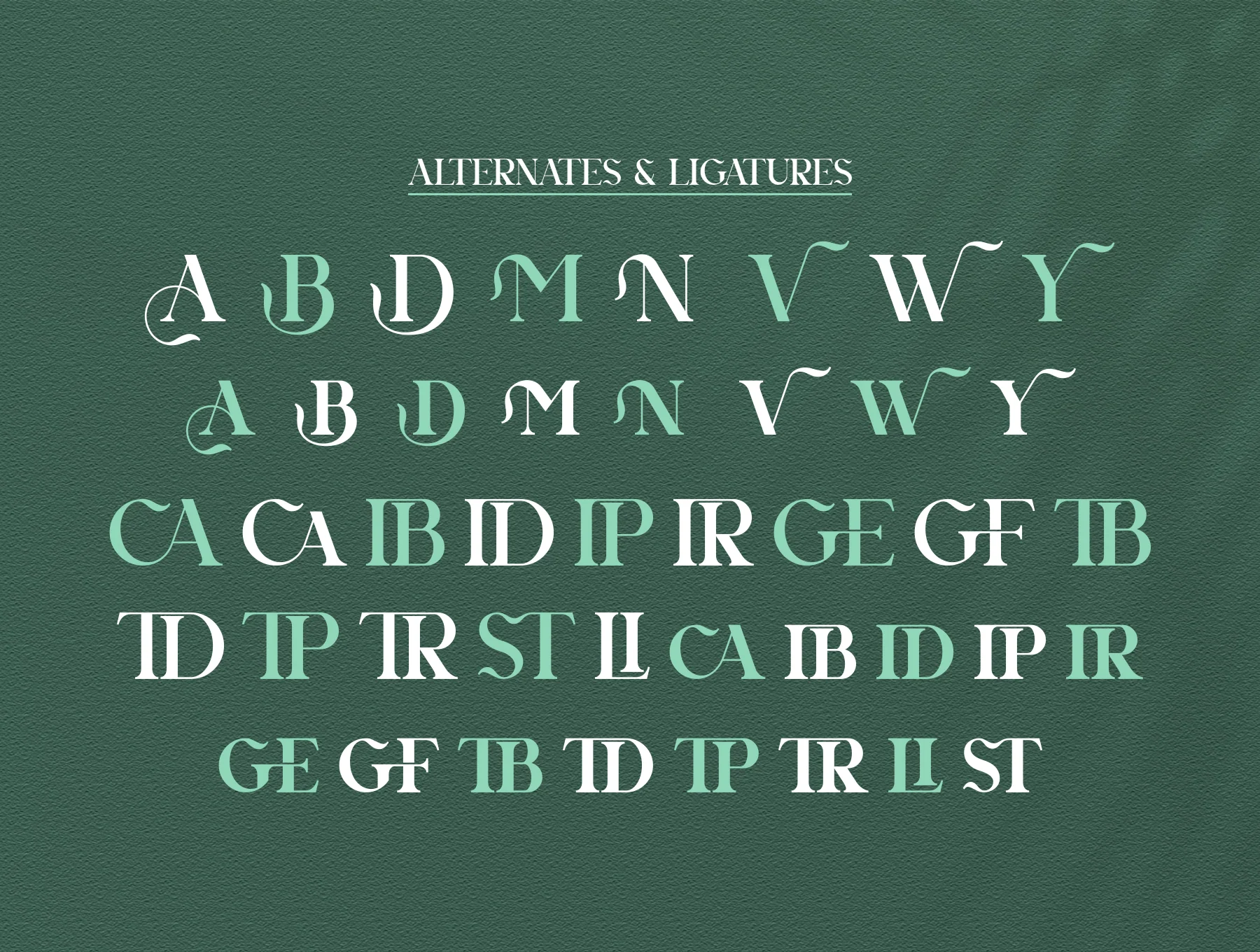Agnista Serif 11