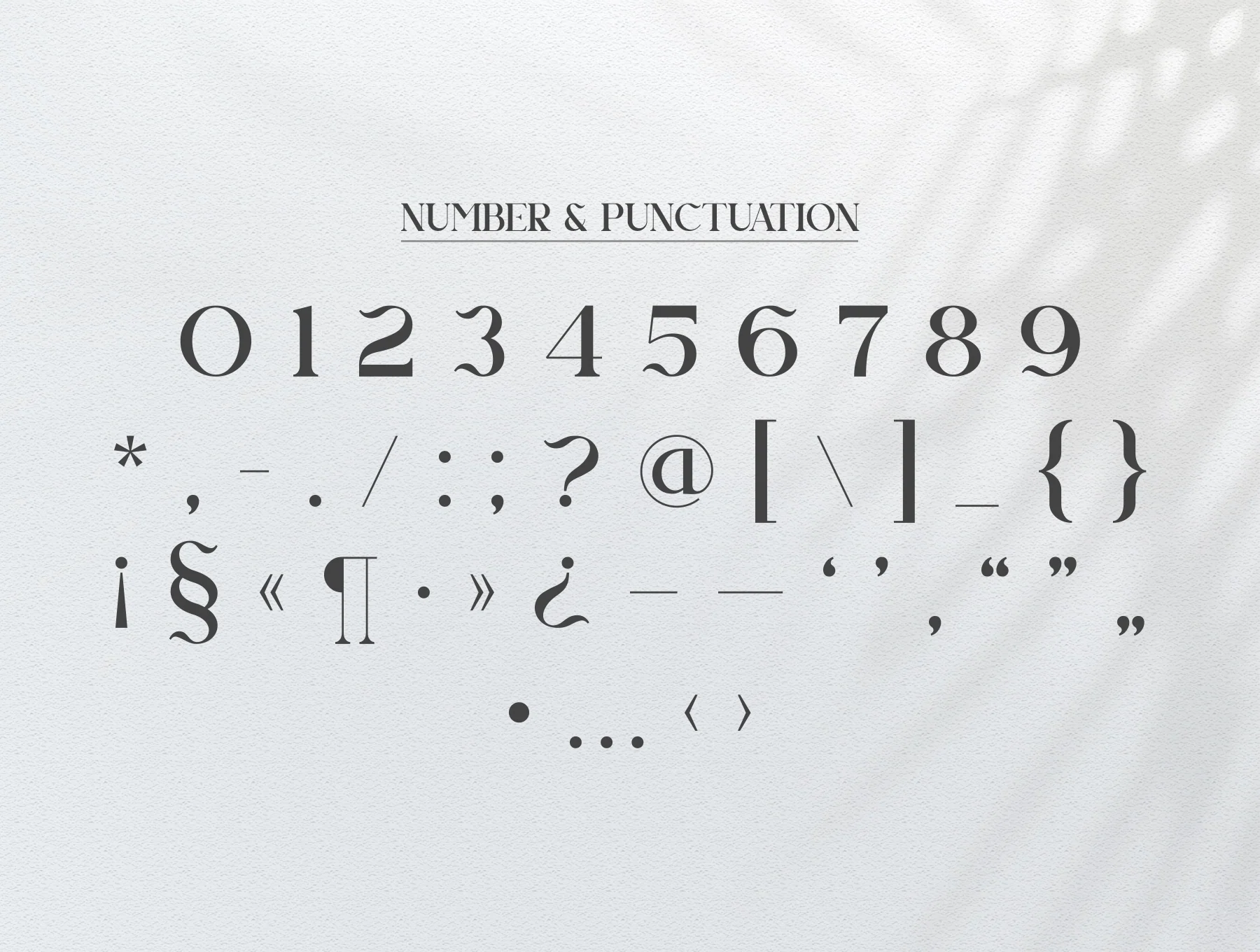 Agnista Serif 12