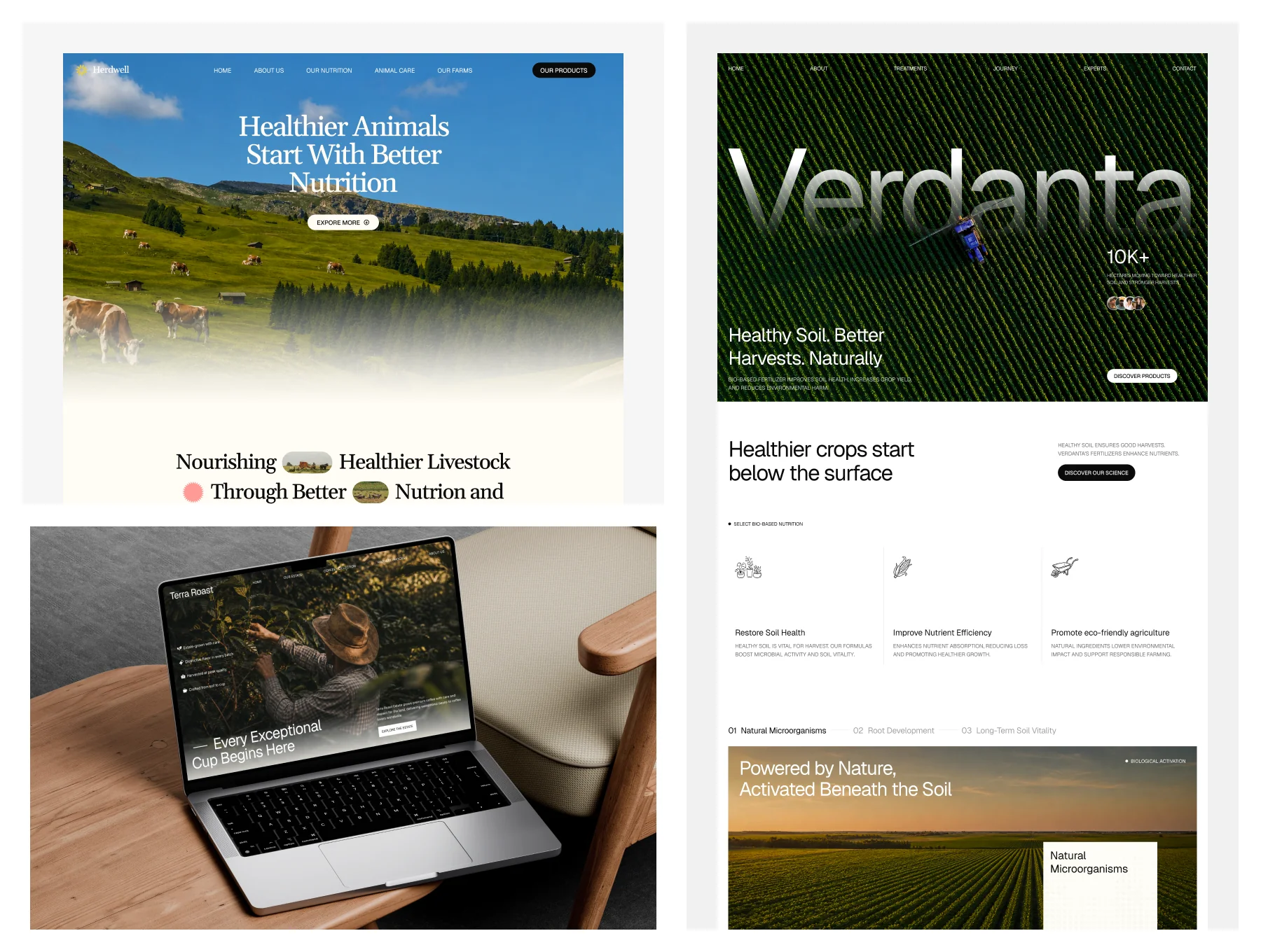 Agribusiness Landing Page UI Kit 7