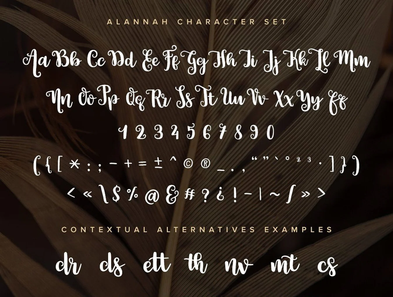 Alannah Script Font 4