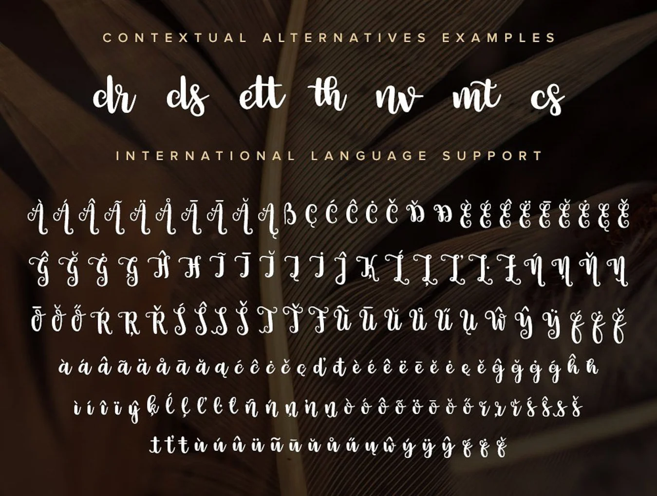 Alannah Script Font 5