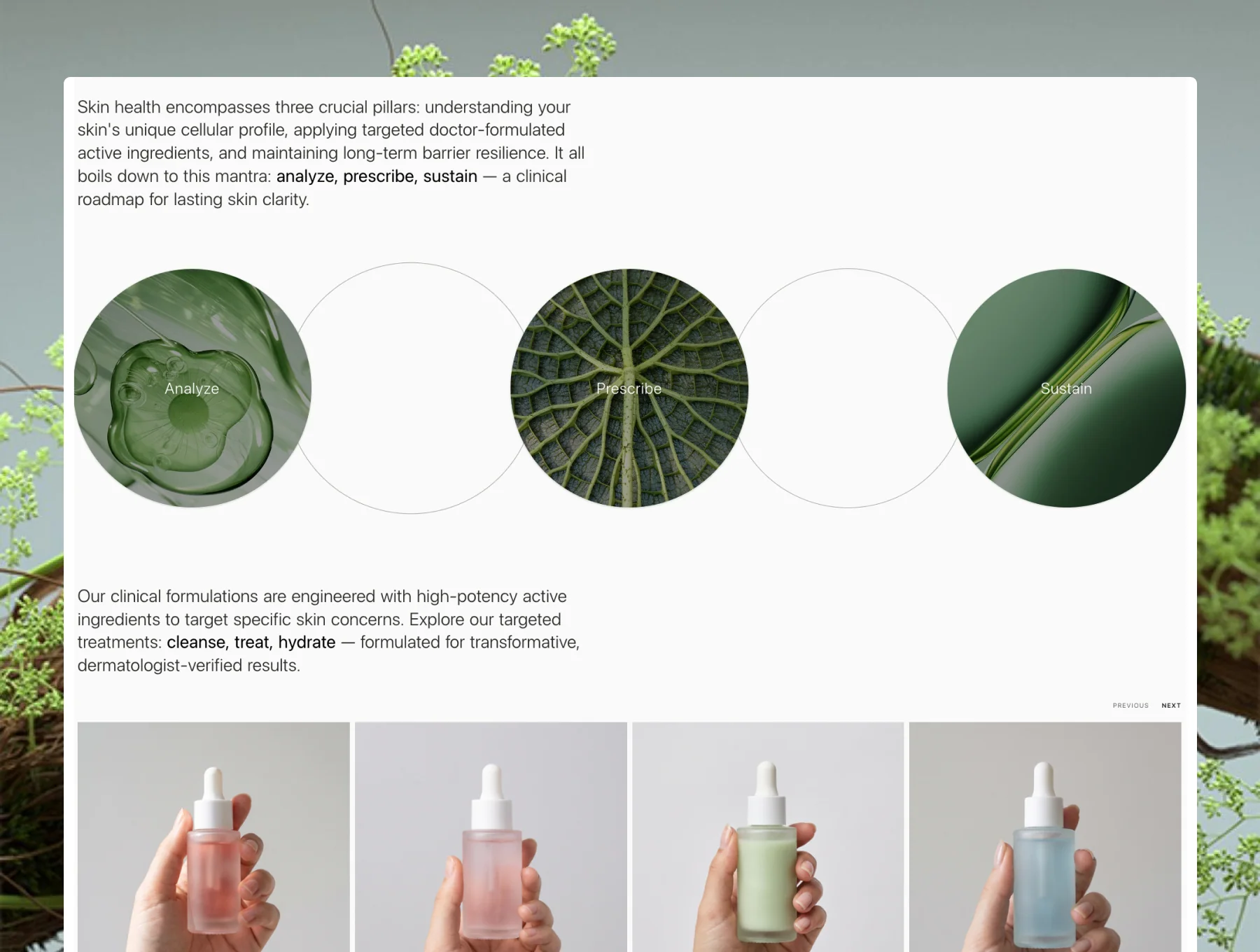 Alchemy — Medical Skincare & Beauty Clinic Website Template 2
