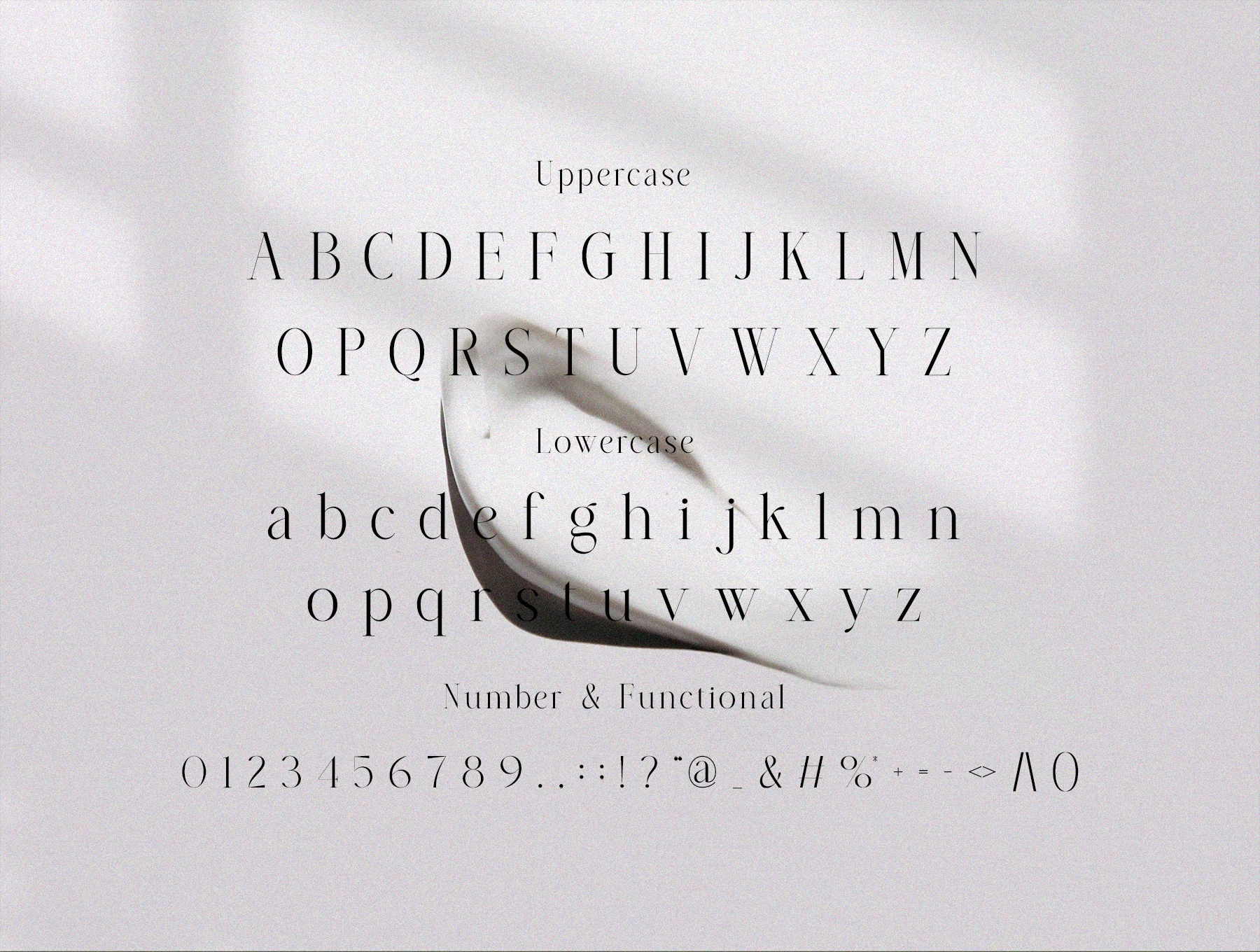 Almera Serif 10