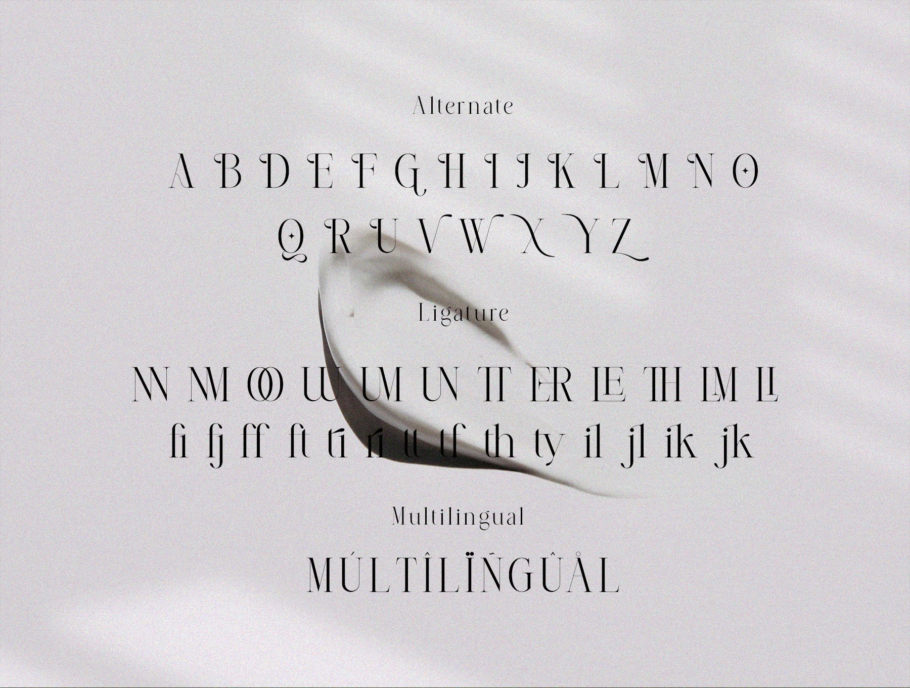 Almera Serif 11