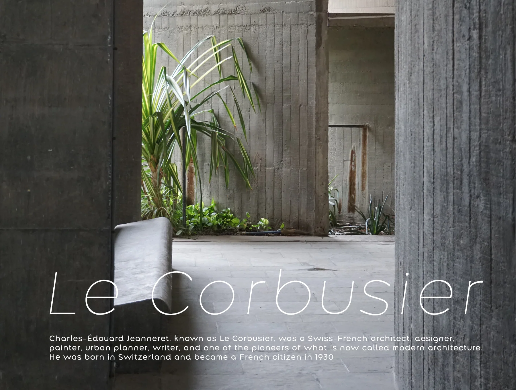 Along Sans Modern Geometric Font Family s2 7