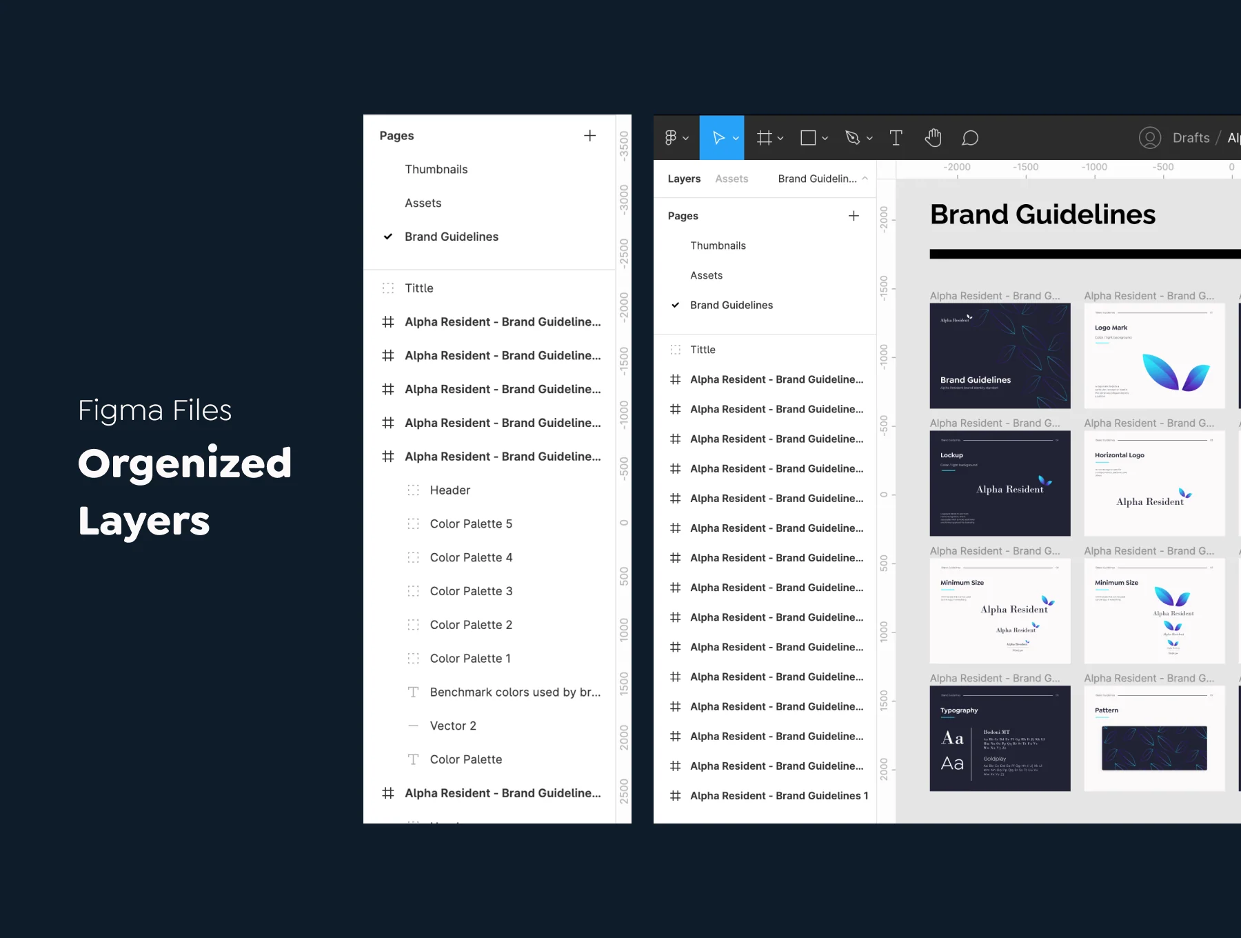 Alpha Resident - Brand Identity Guidelines 3