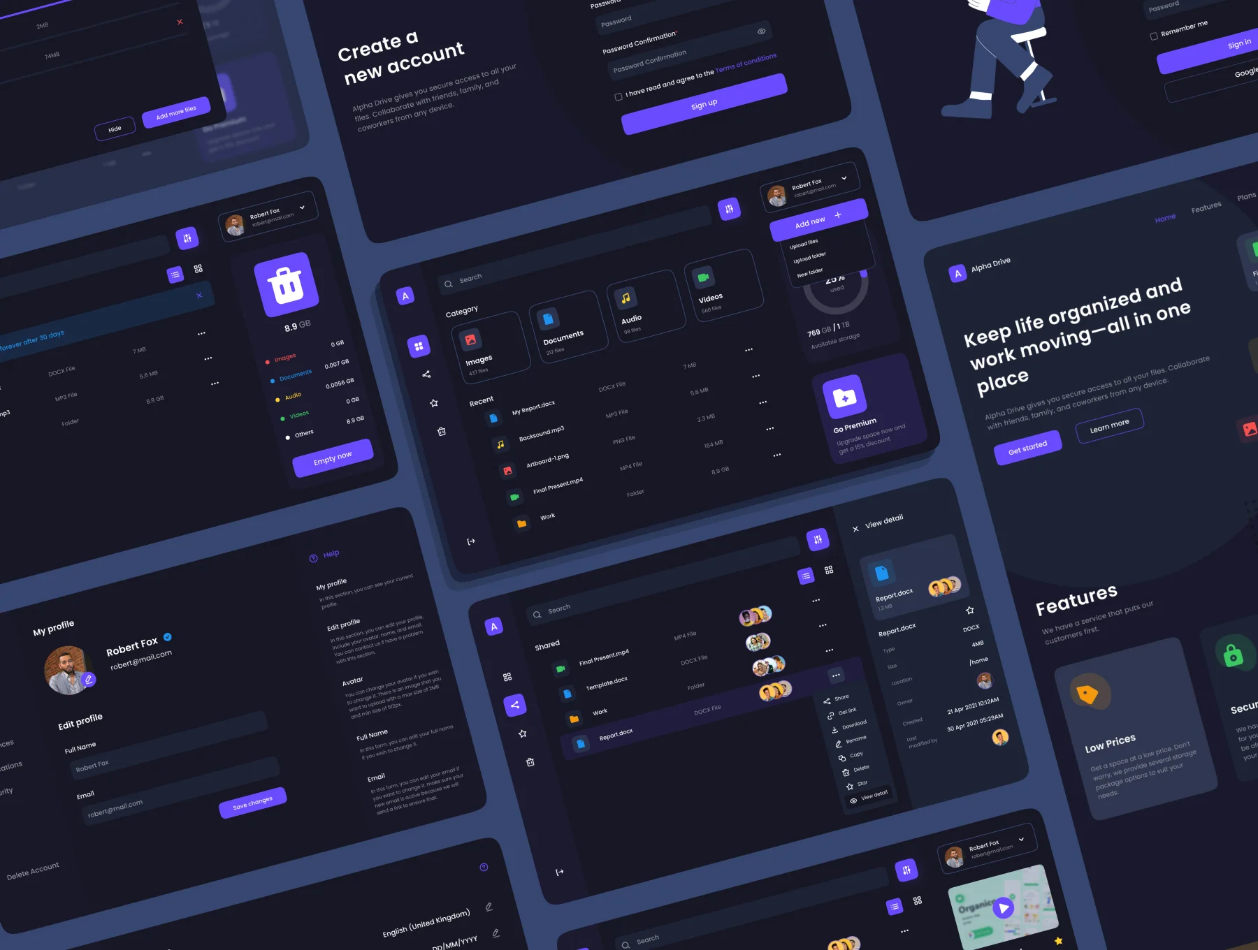Alpha Drive Cloud Storage Website UI Kit 5