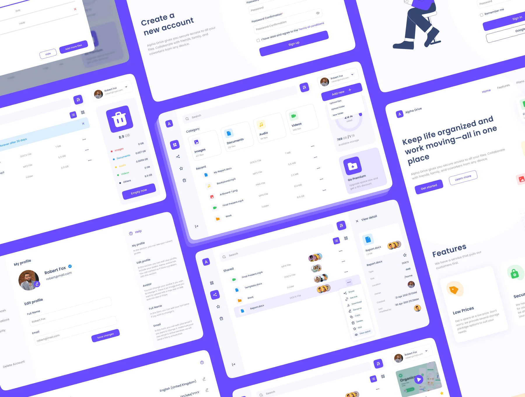 Alpha Drive Cloud Storage Website UI Kit 6