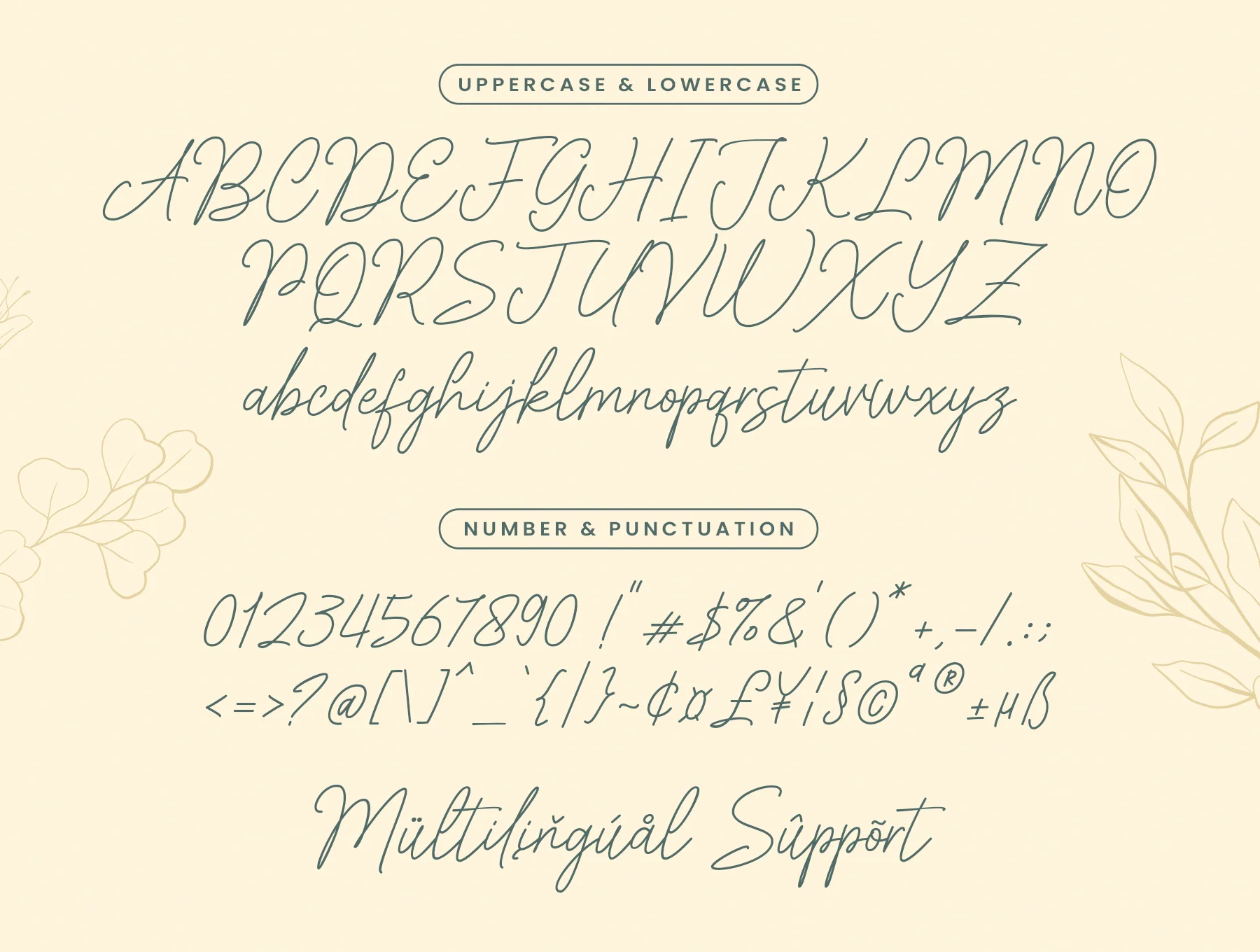 Amirallia - a handwritten script 6