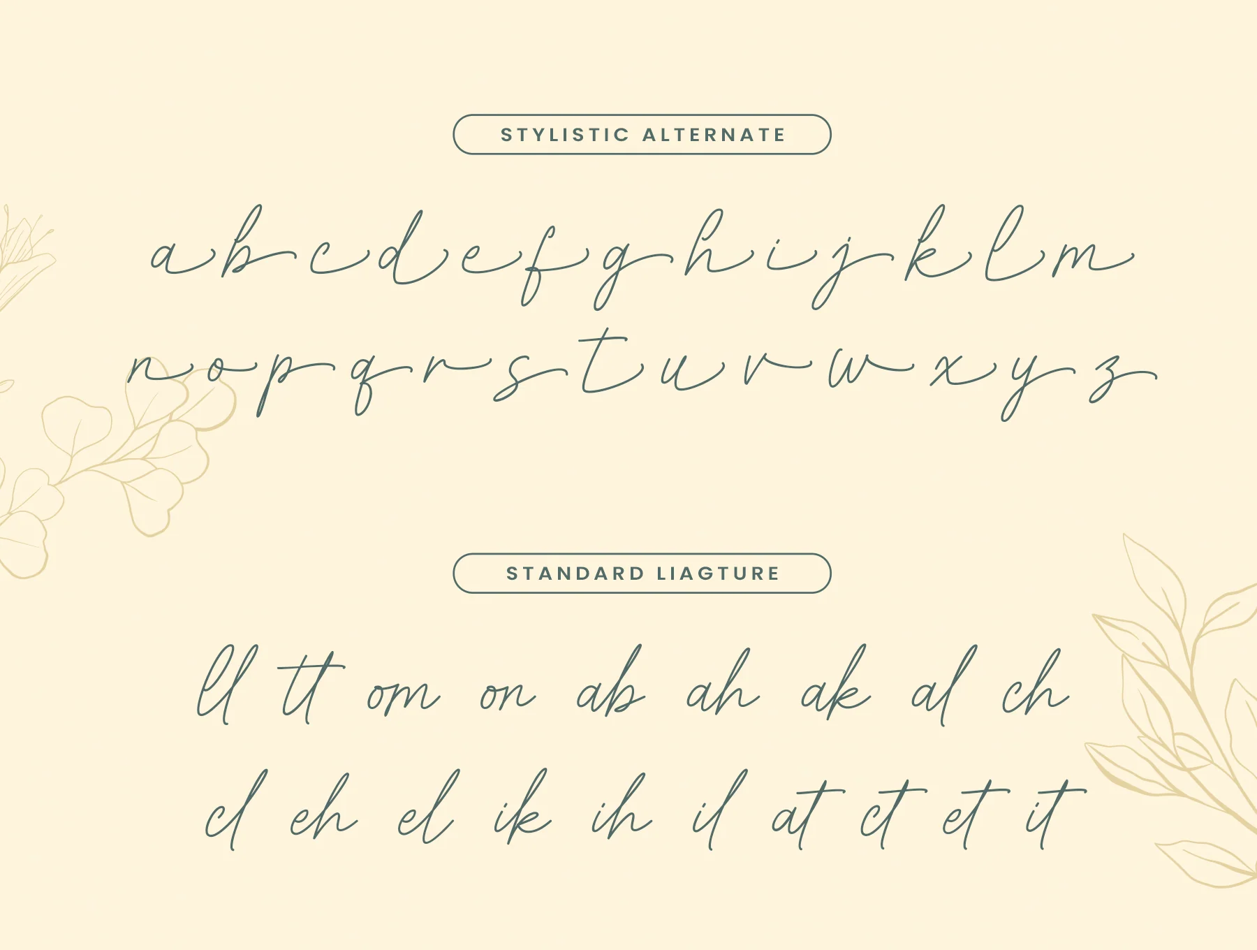 Amirallia - a handwritten script 7