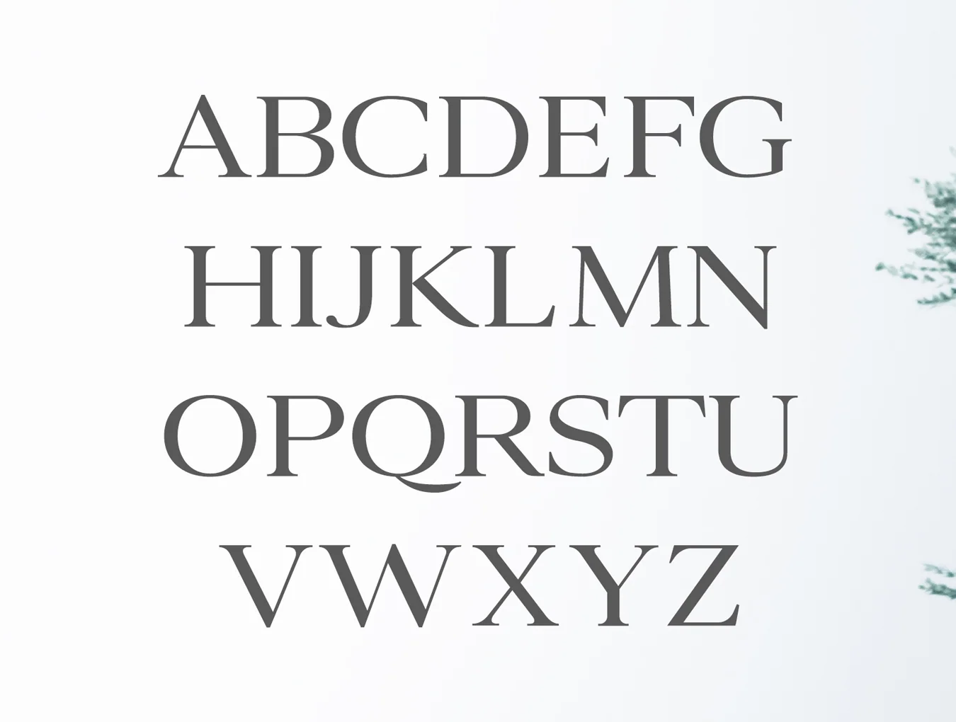 Ammar A Modern Serif 2