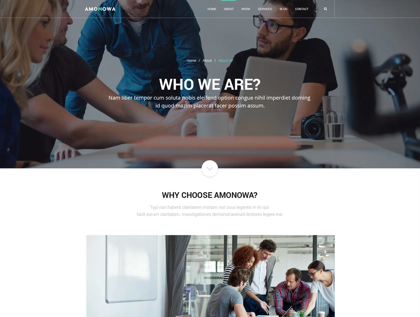 Amonowa PSD Template 3
