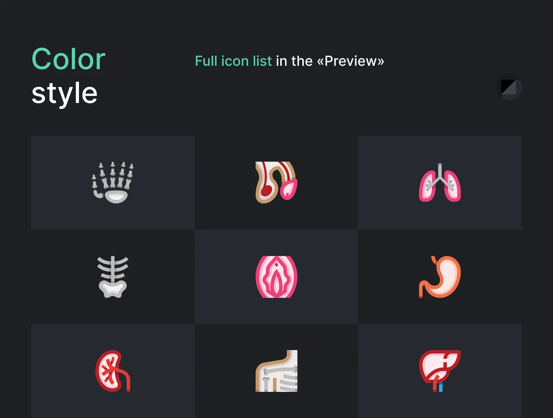 Anatomy icons 6