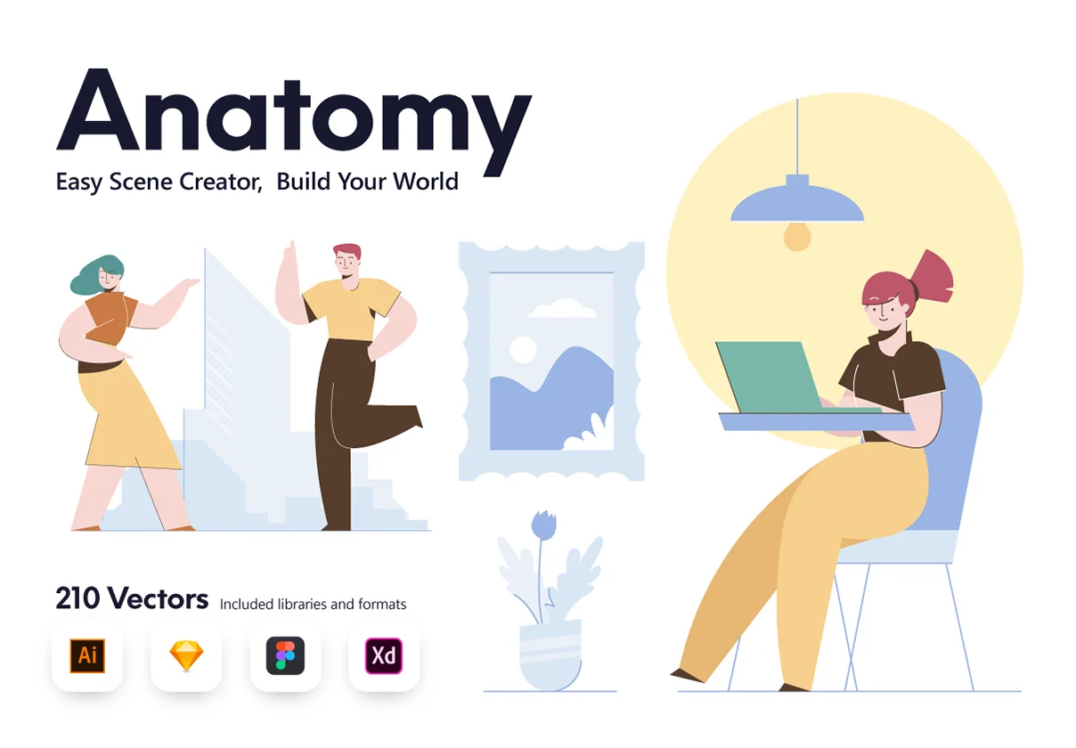 Anatomy Illustrations