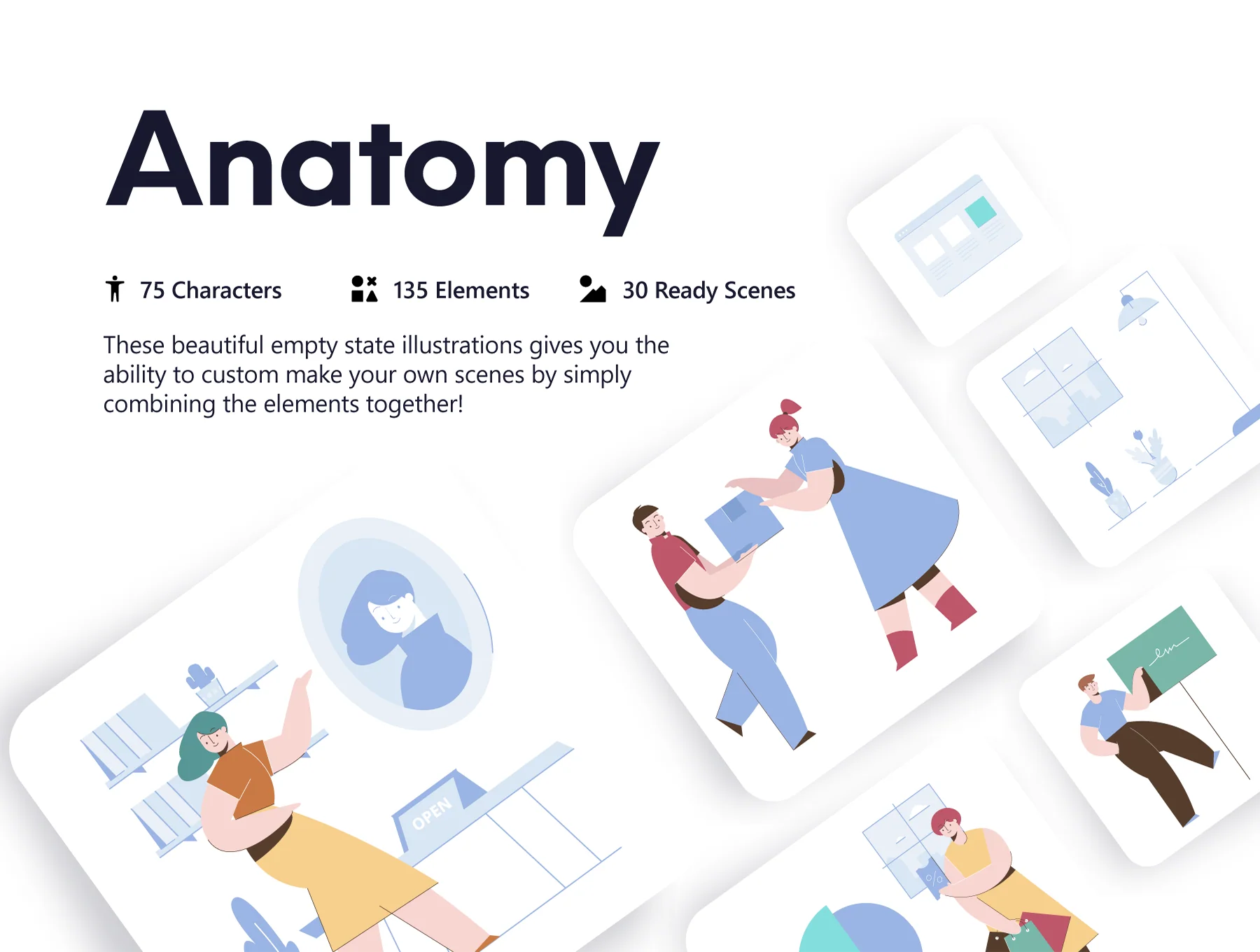 Anatomy Illustrations