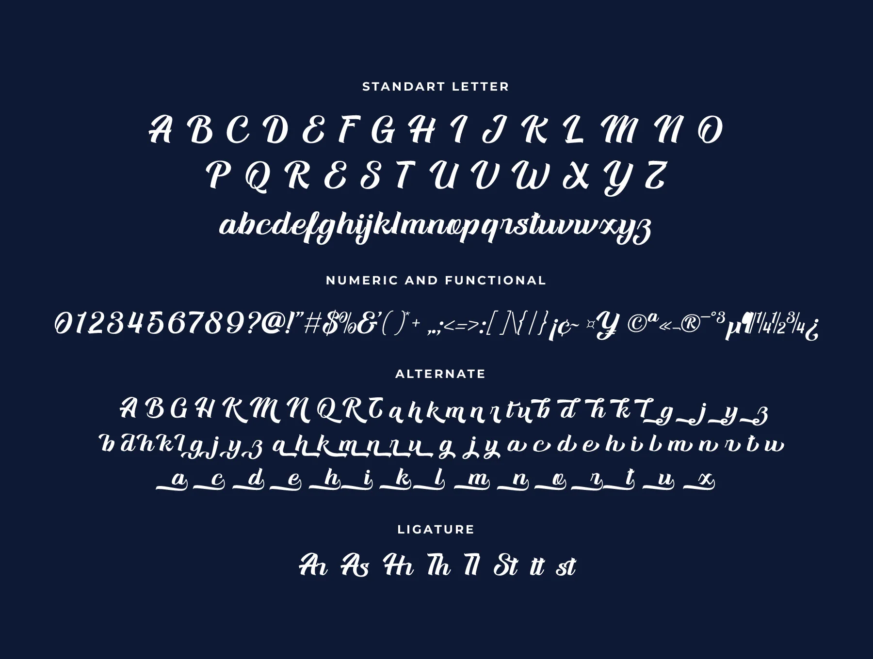 Andior Script Font 8