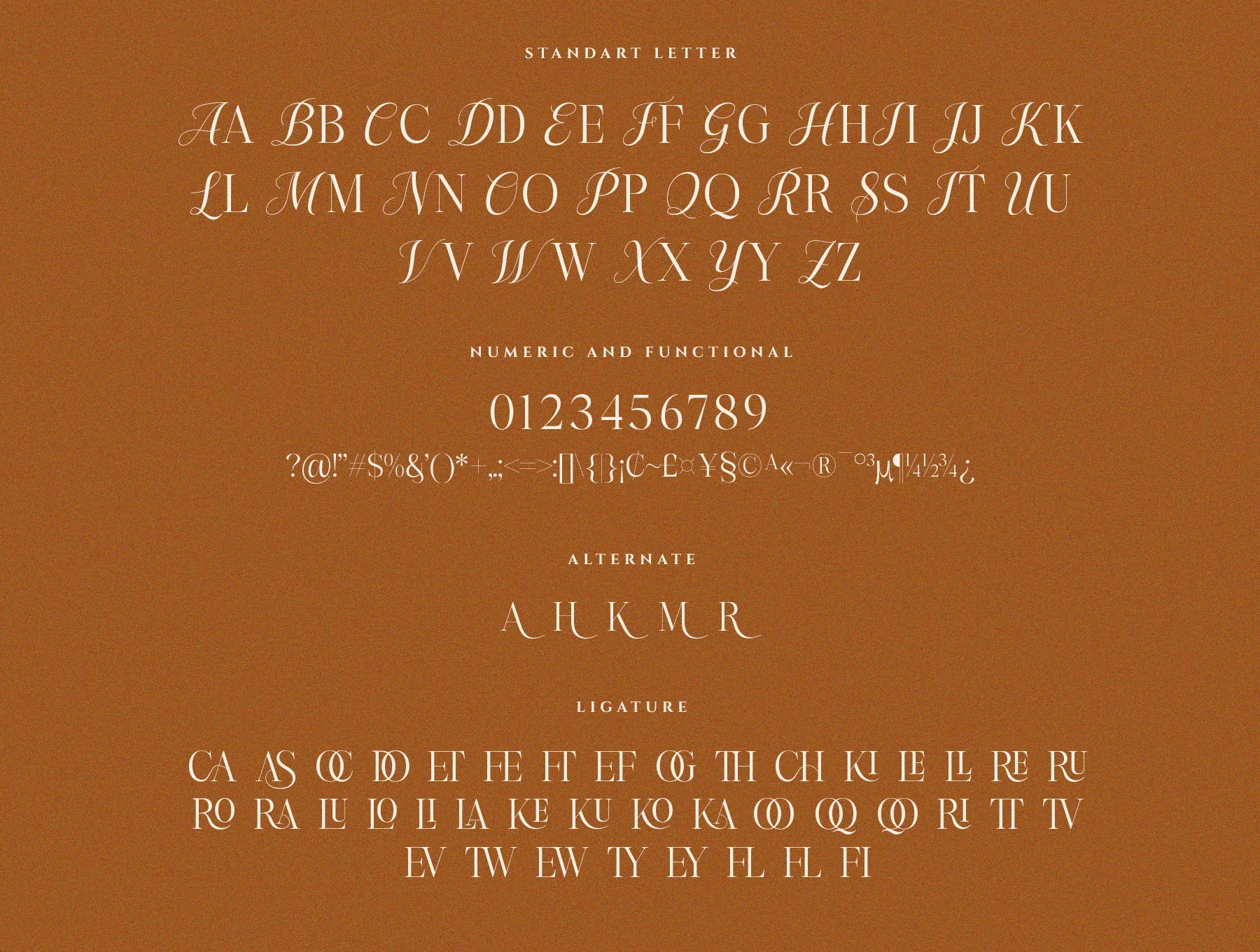 Angela Brown Script Serif Font 8