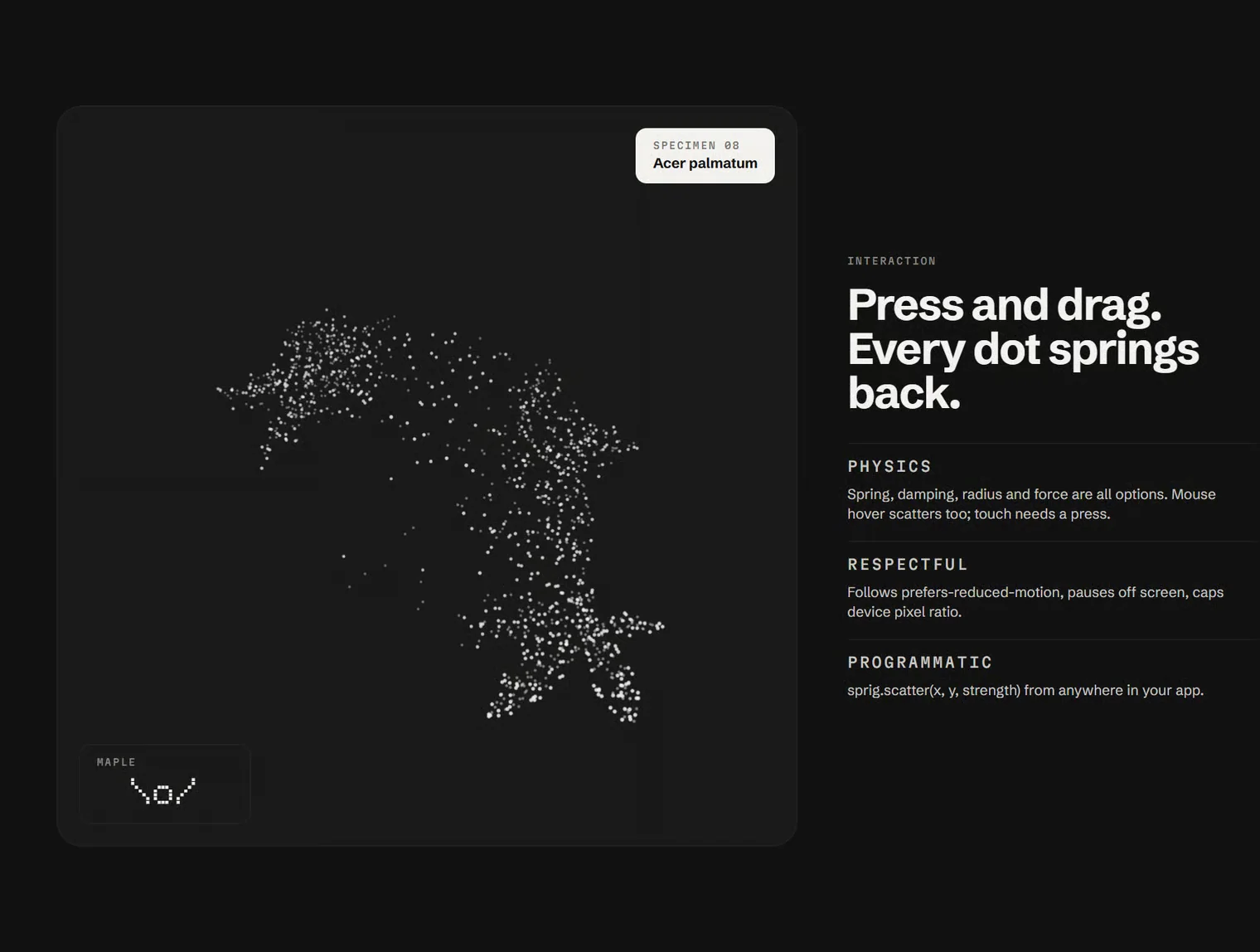 Point Cloud Animations | Aboretum 3