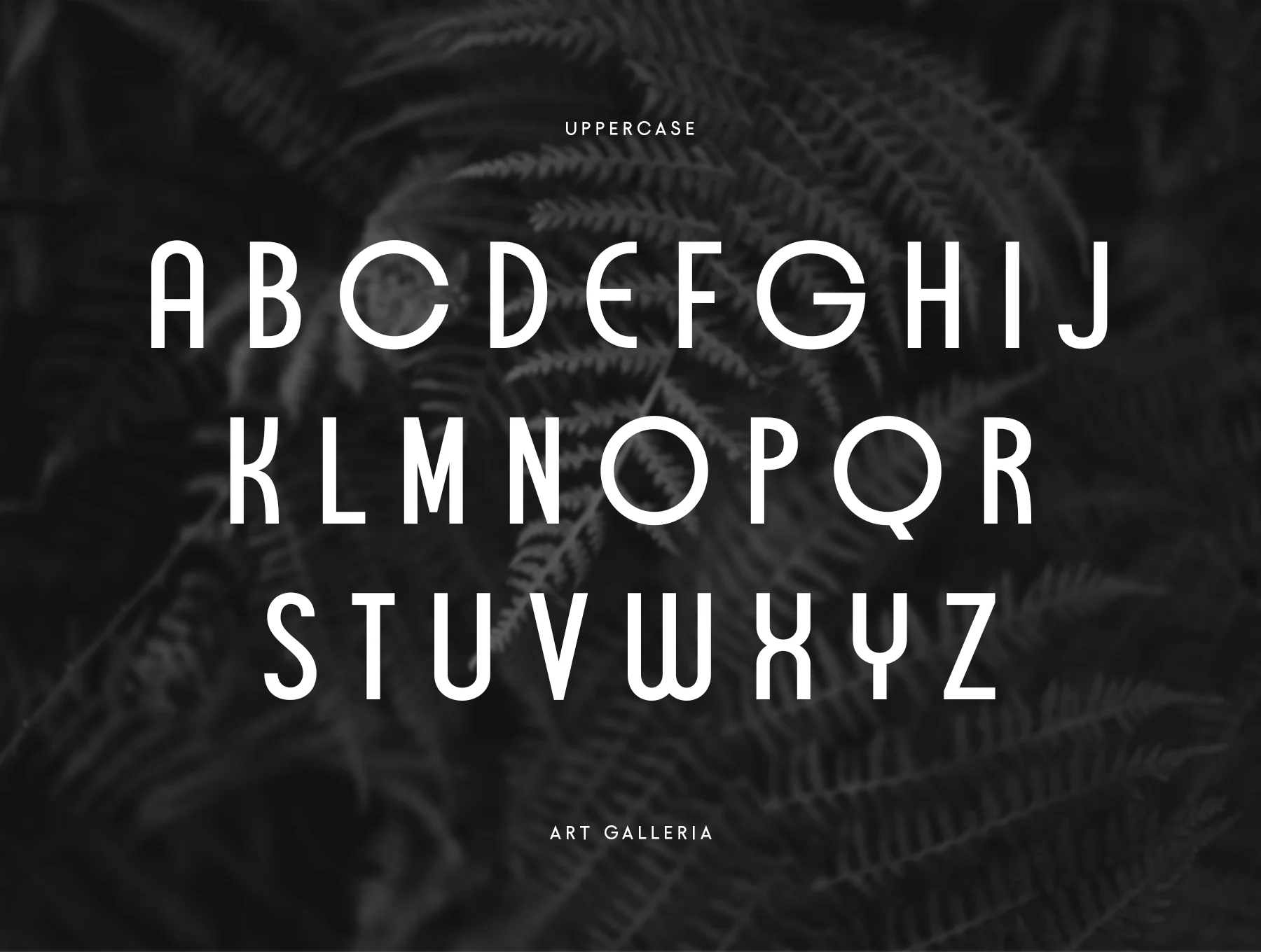 Art Galleria Font 4