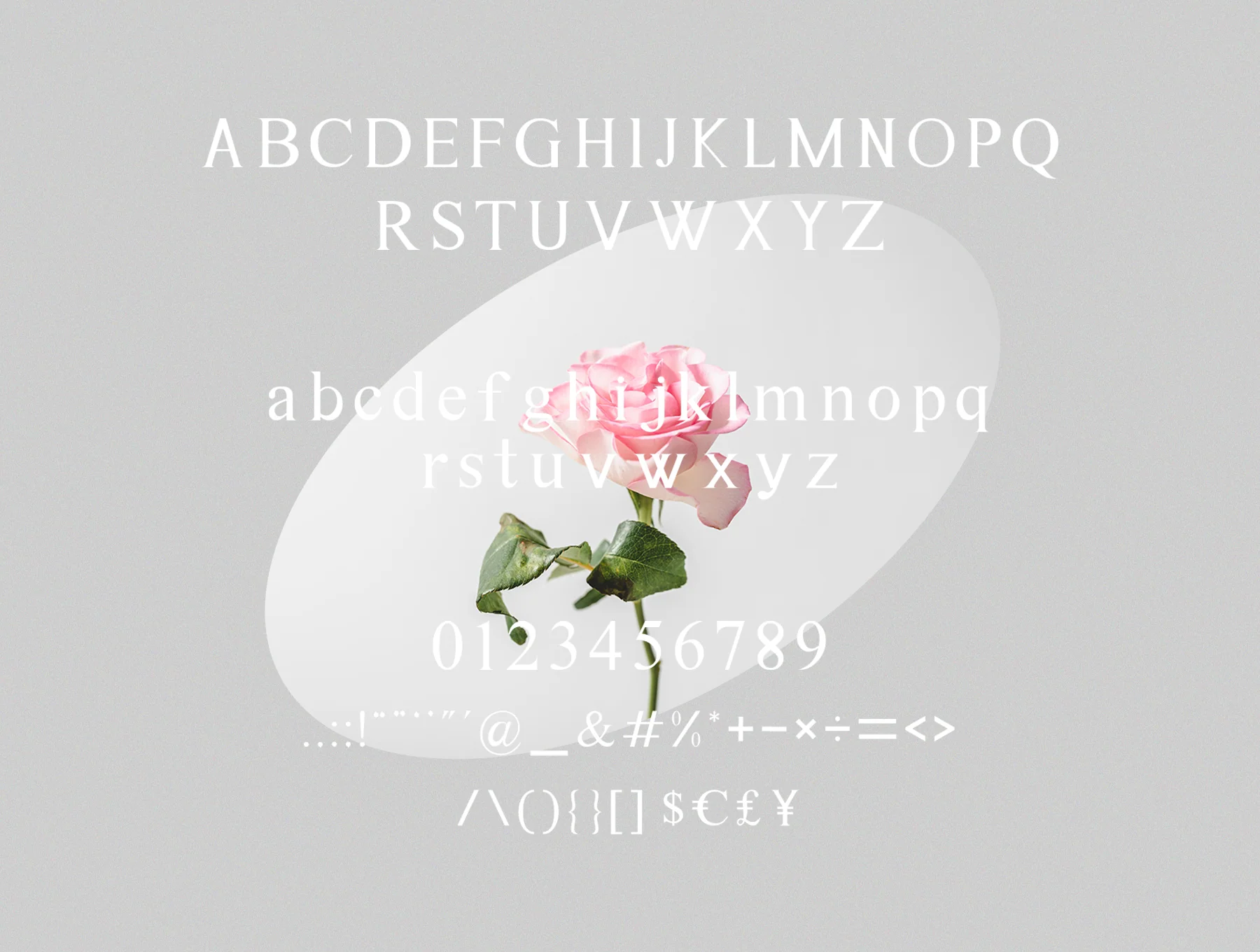 Astina Serif 9