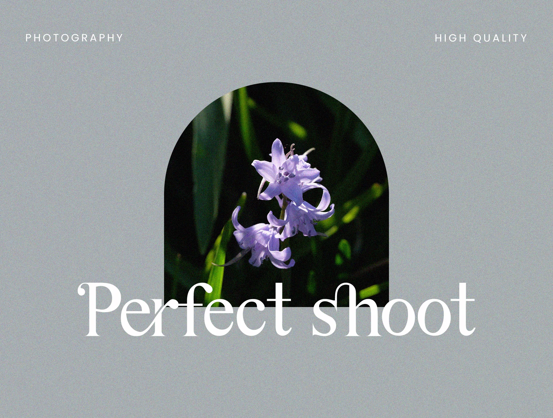 Astina Serif 4