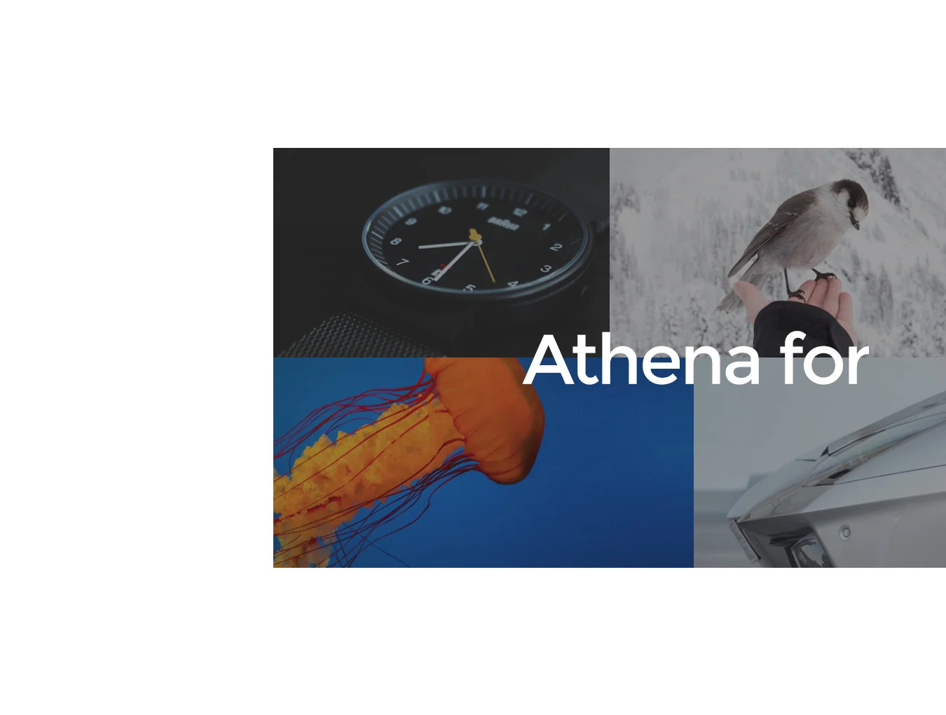 Athena 5