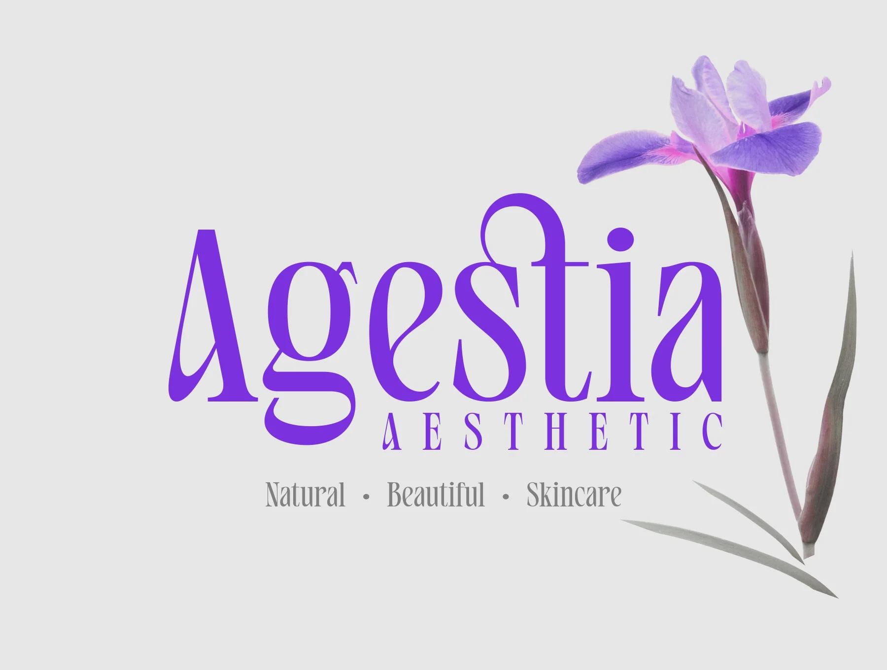 Avaleigh Fonts Family 7