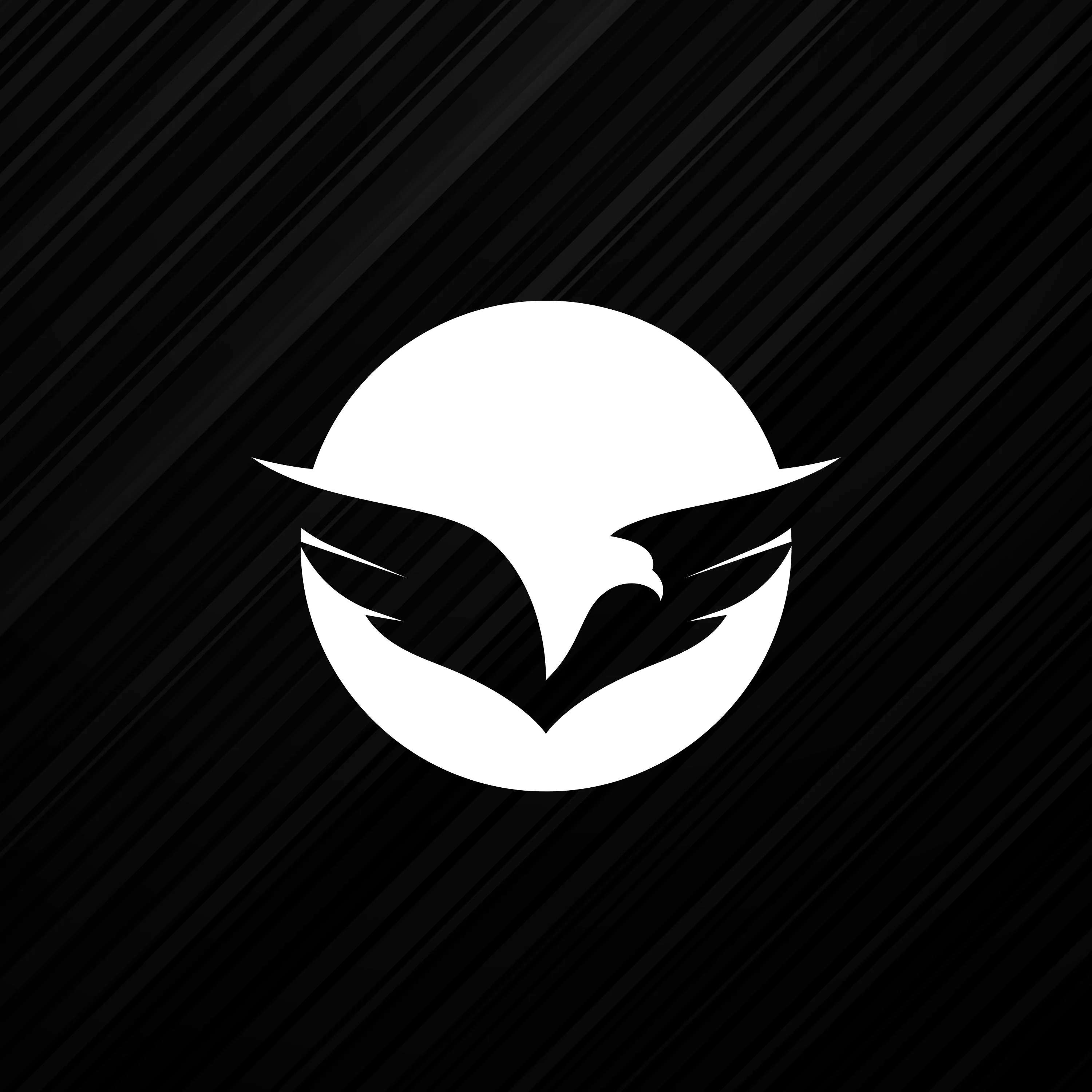 Falcon Studio
