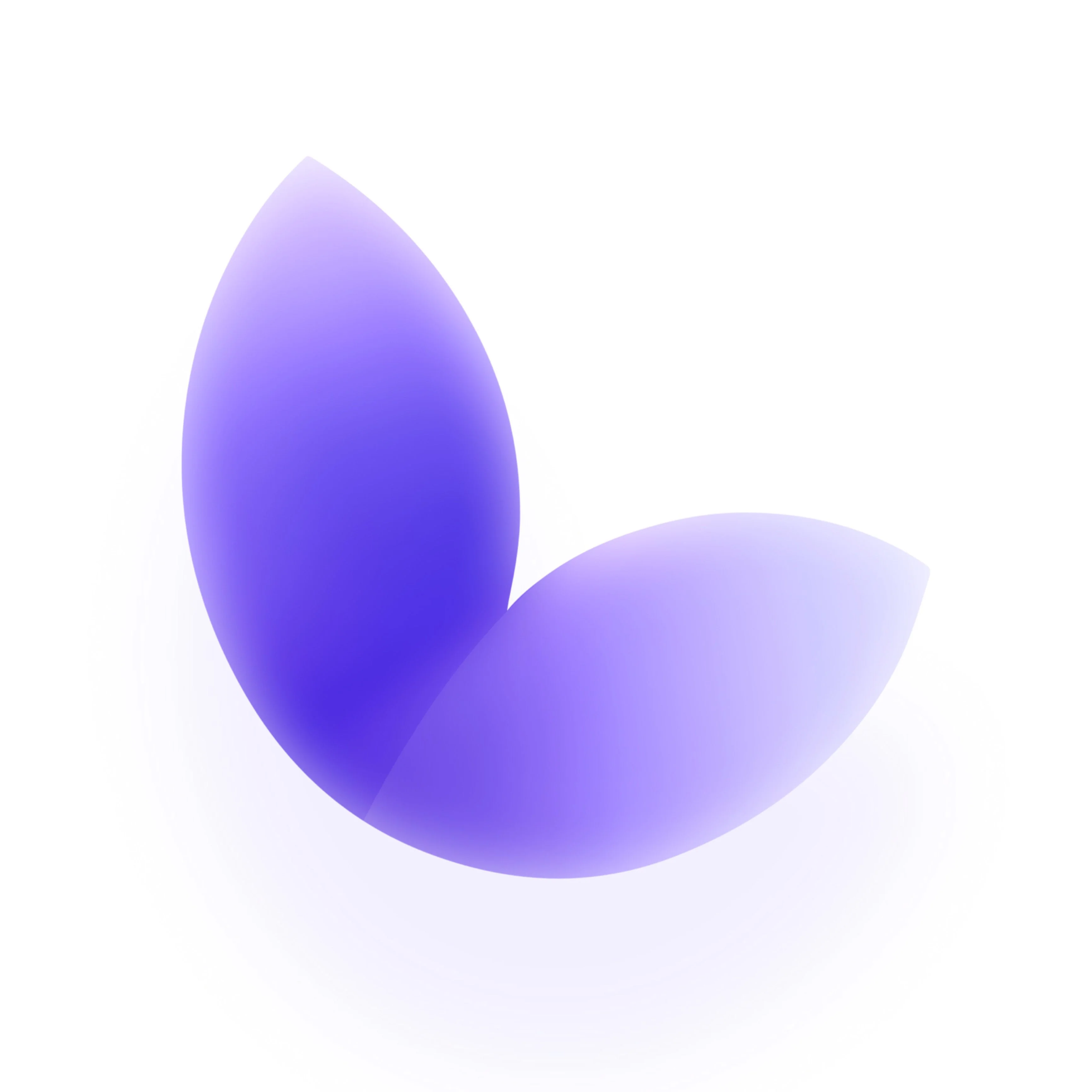 lupinus Design