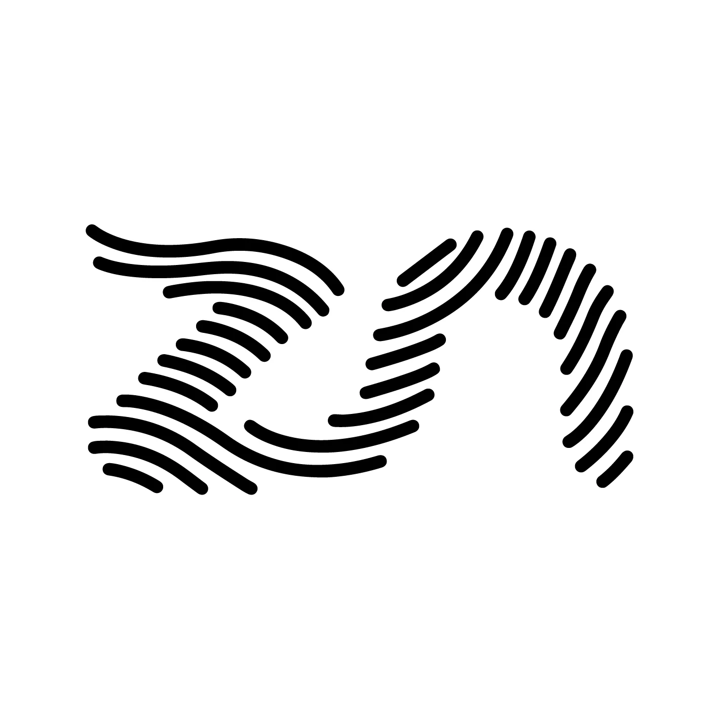 ZN Studio